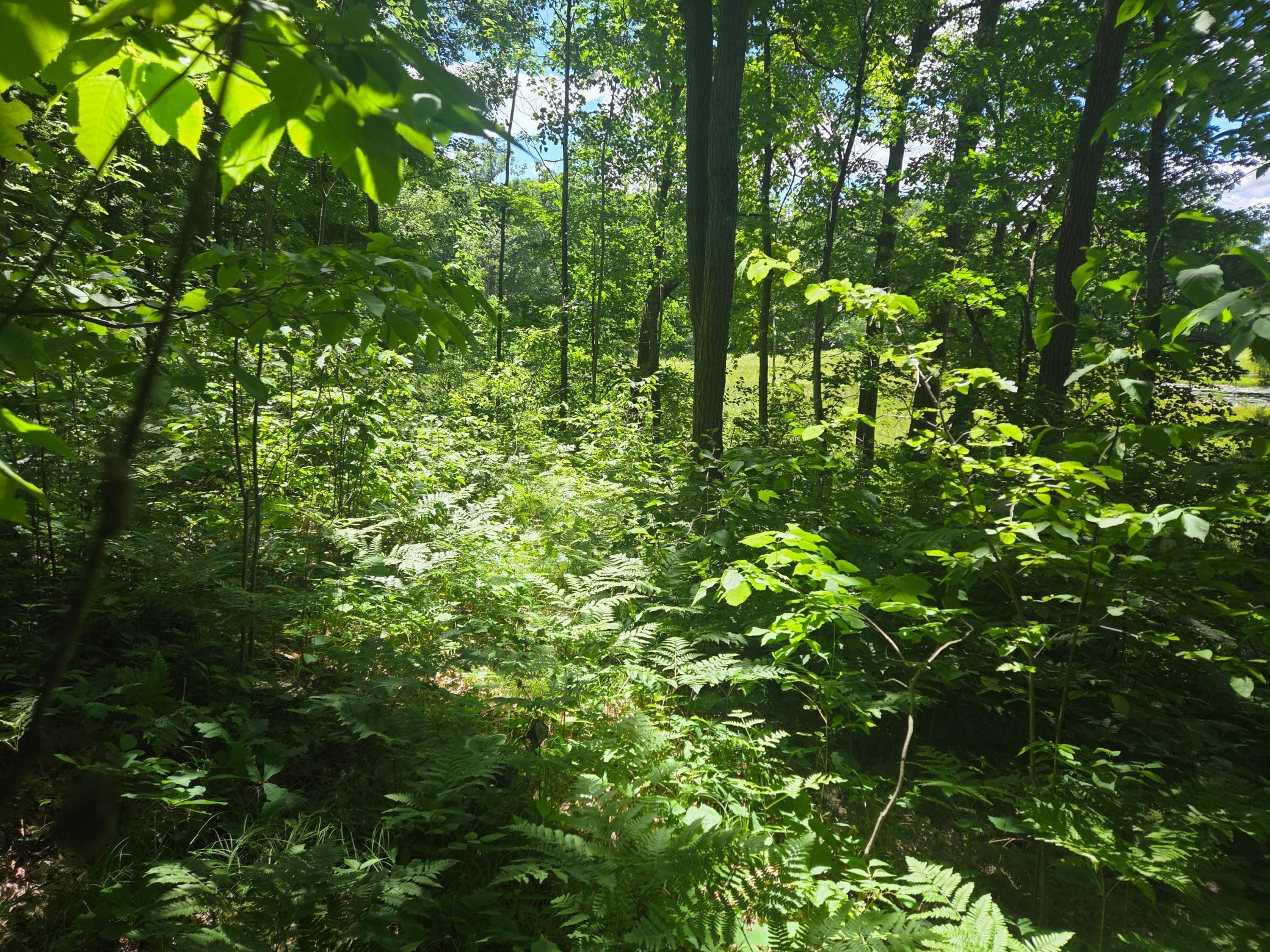 3rd image of Tbd County Rd G, Comstock, WI 54826 | MLS# 7097797