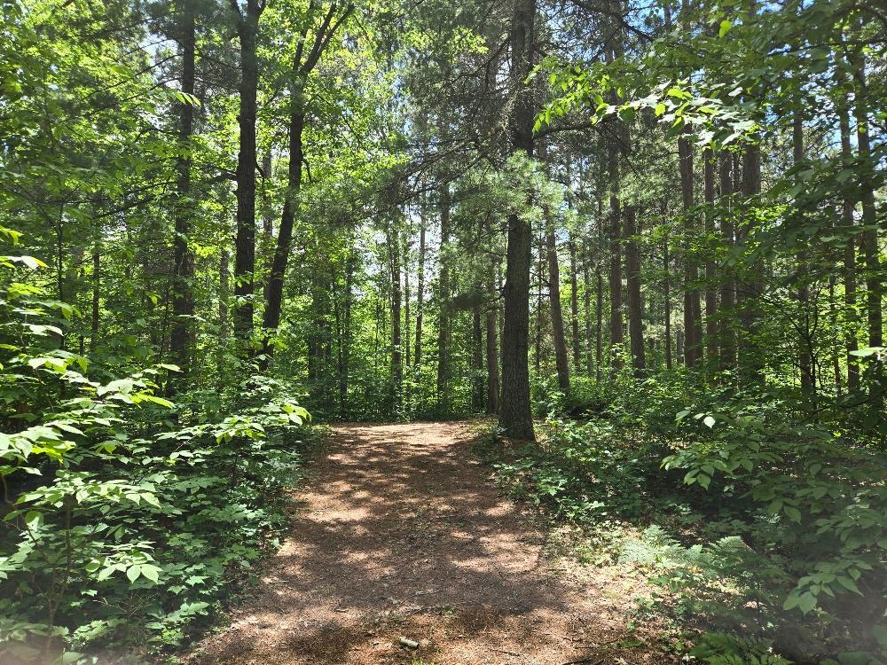 image of Tbd Fs2564d, Remer, MN 56672 | MLS# 7097798