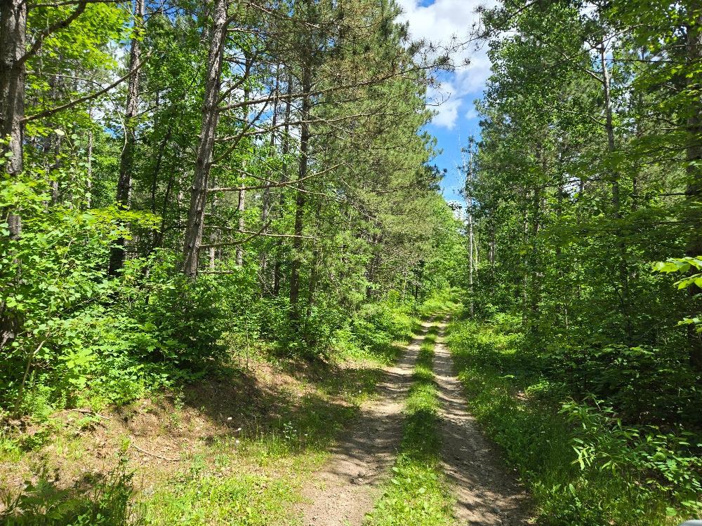 image of Tbd Fs2564d, Remer, MN 56672 | MLS# 7097798
