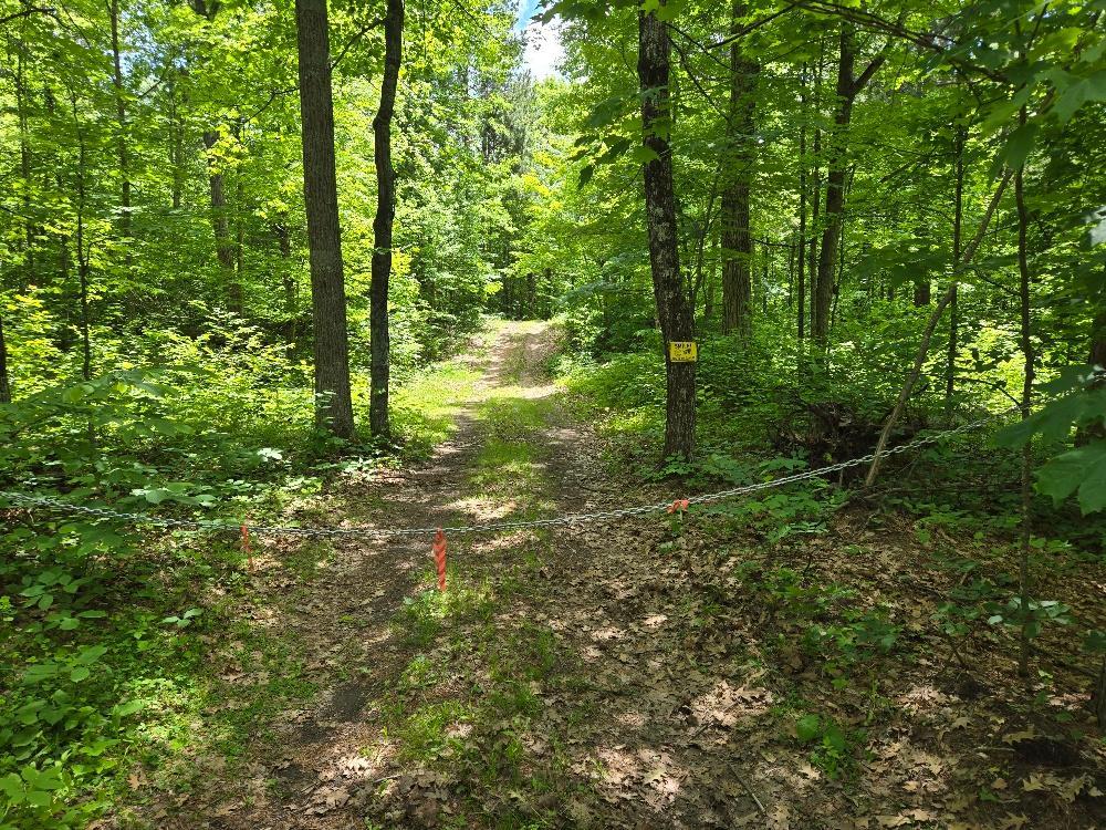 image of Tbd Fs2564d, Remer, MN 56672 | MLS# 7097798
