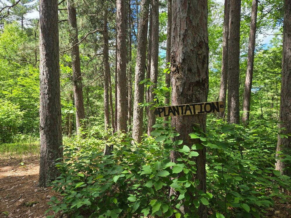 image of Tbd Fs2564d, Remer, MN 56672 | MLS# 7097798