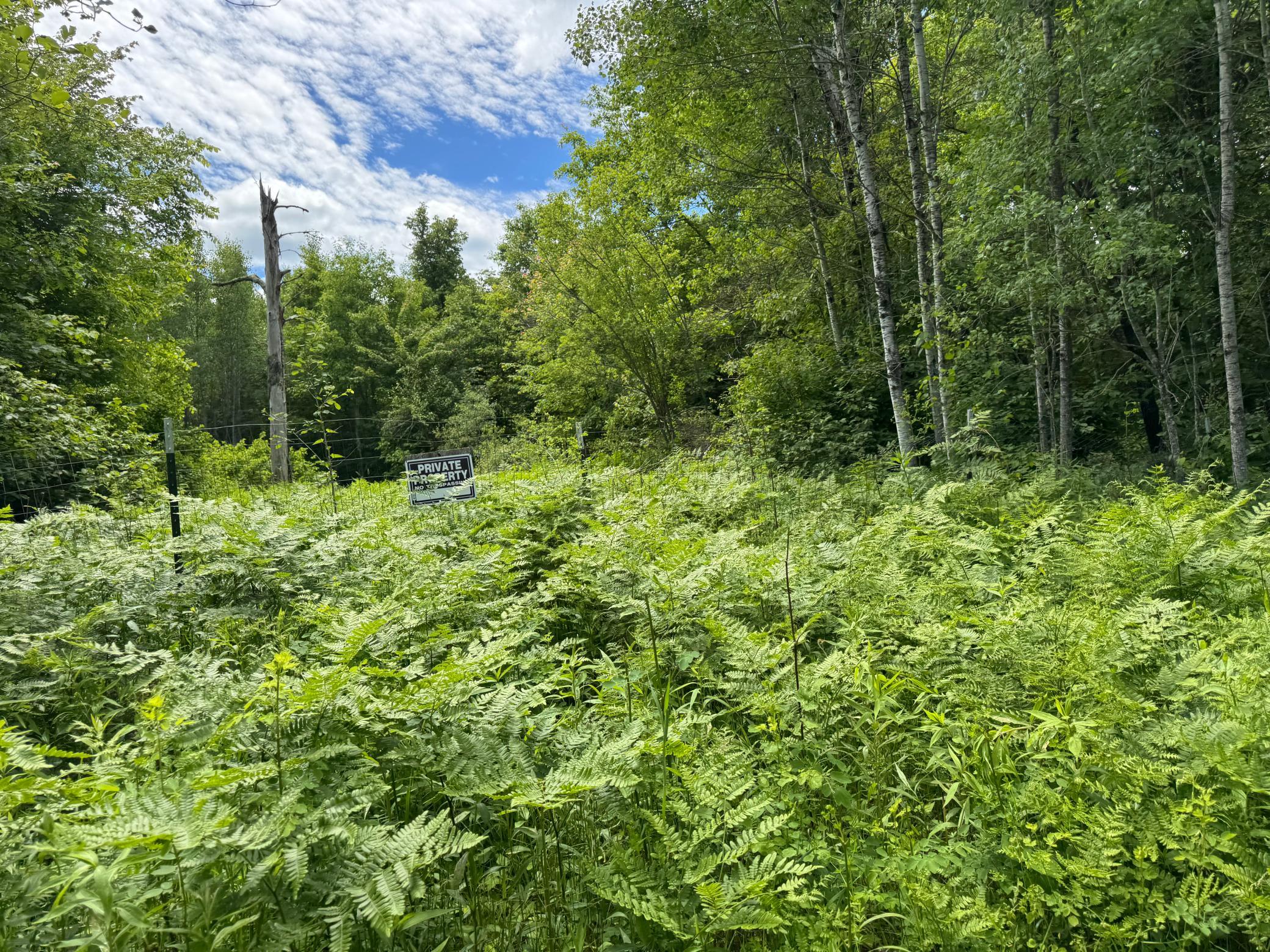 5th image of 0 Xxxx, Mc Gregor, MN 55760 | MLS# 7098491