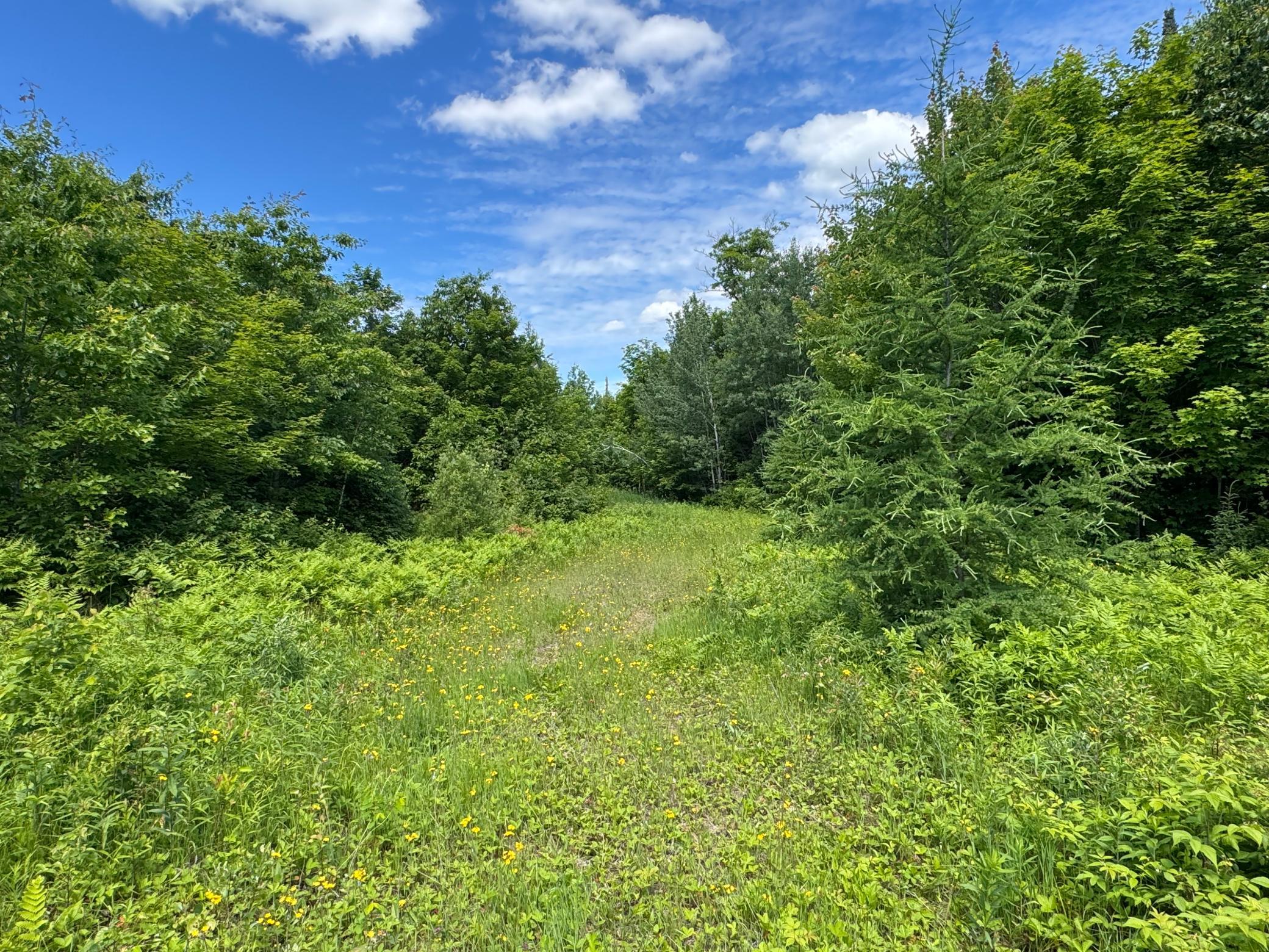 3rd image of 0 Xxxx, Mc Gregor, MN 55760 | MLS# 7098491