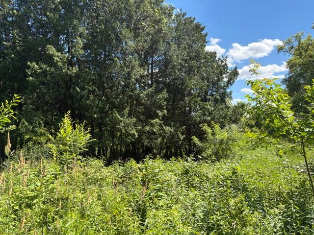4th image of 2835 Hadley Valley Rd Ne, Rochester, MN 55906 | MLS# 7098781