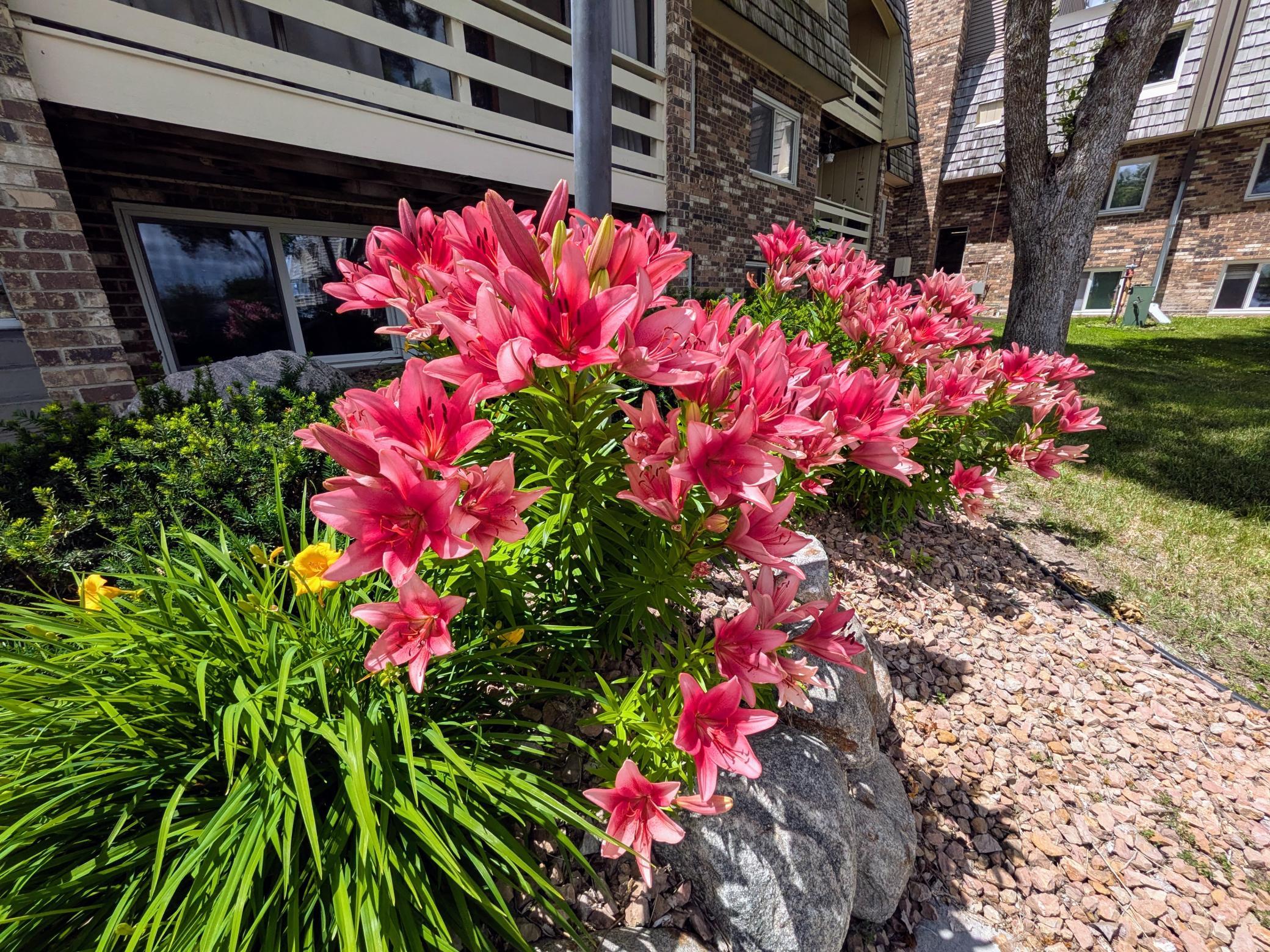 2nd image of 4387 Wilshire Blvd, Mound, MN 55364