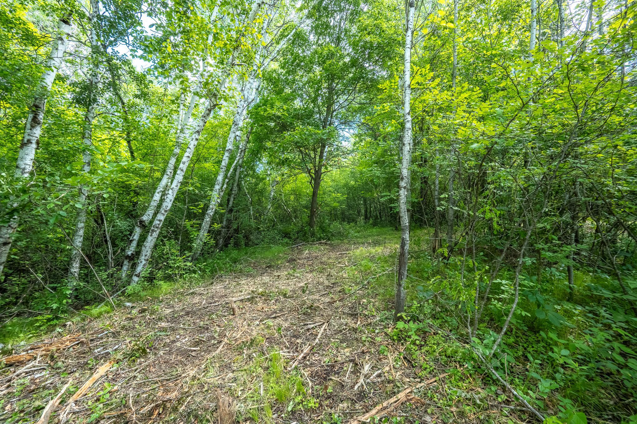 4th image of Tbd 53Rd, Osceola, WI 54020 | MLS# 7099664