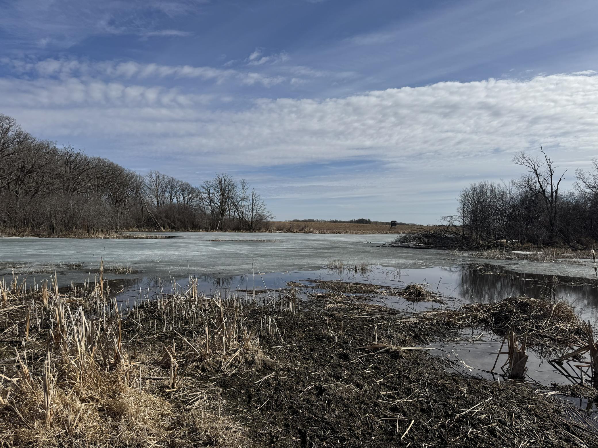17th image of 13265 County Rd 42, Parkers Prairie, MN 56361 | MLS# 7100008