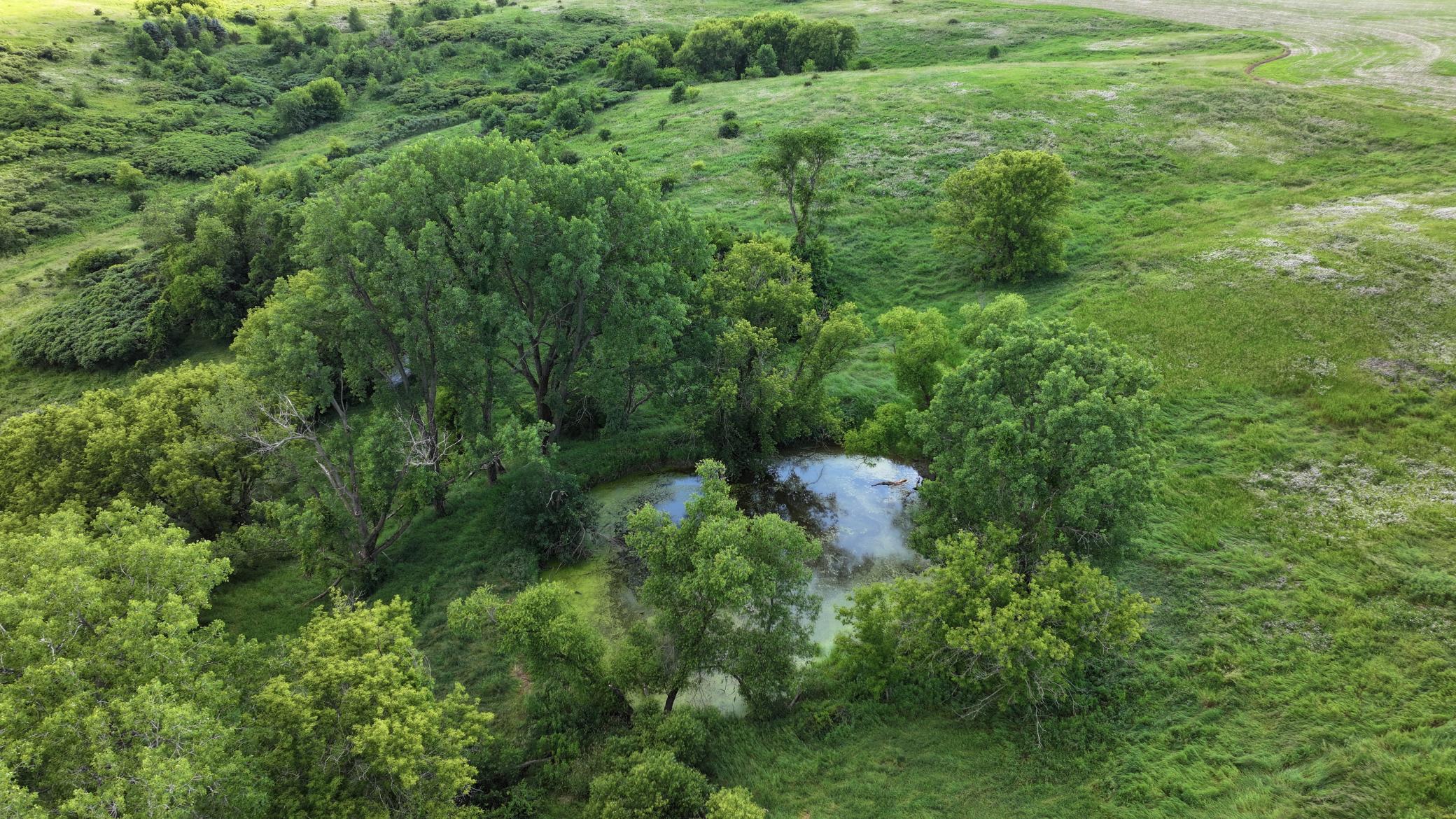 3rd image of Tbd Dunn Road, Caledonia, MN 55921 | MLS# 7100276