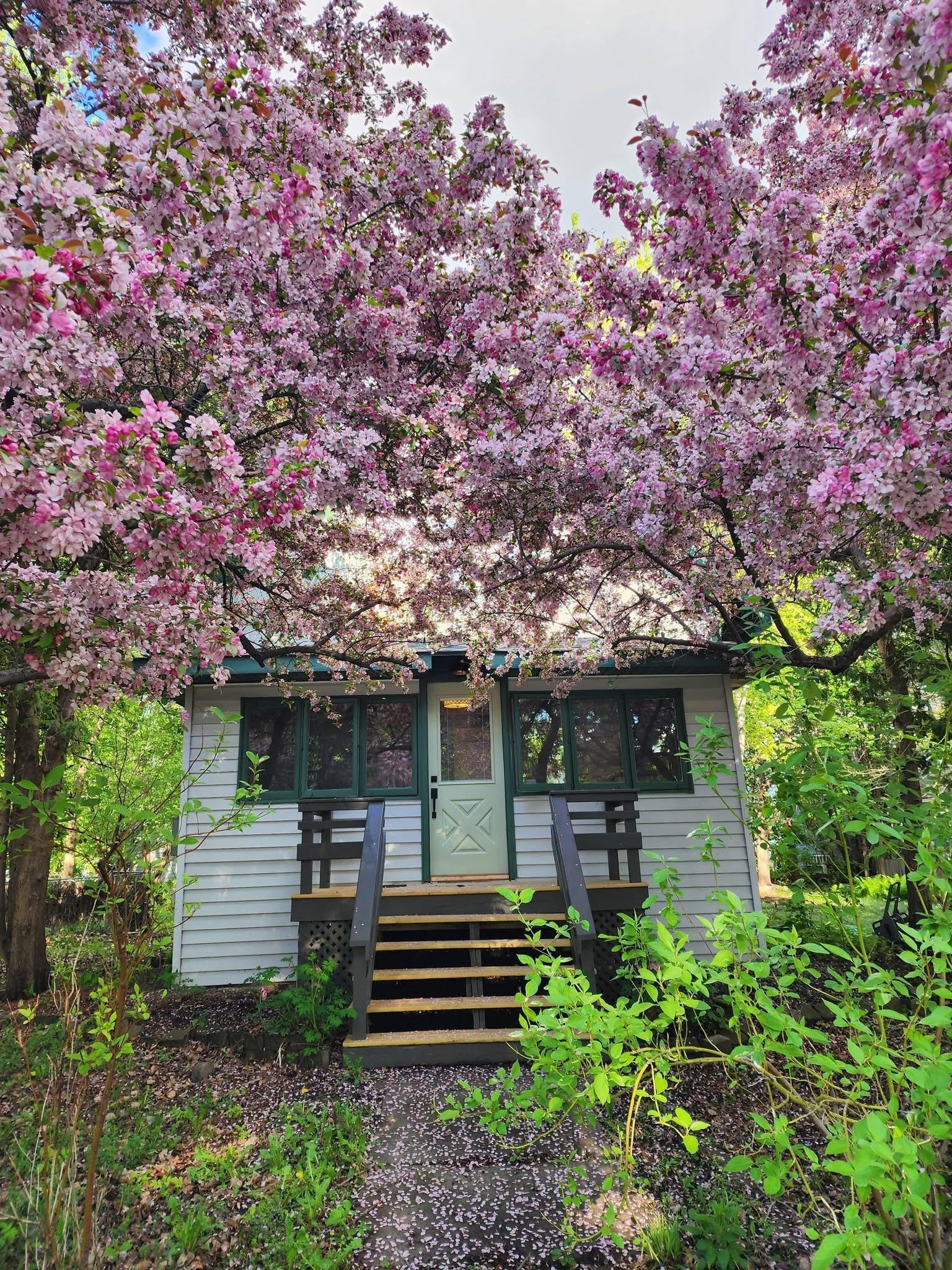 2nd image of 6 4th St Nw, Glenwood, MN 56334 | MLS# 7100427