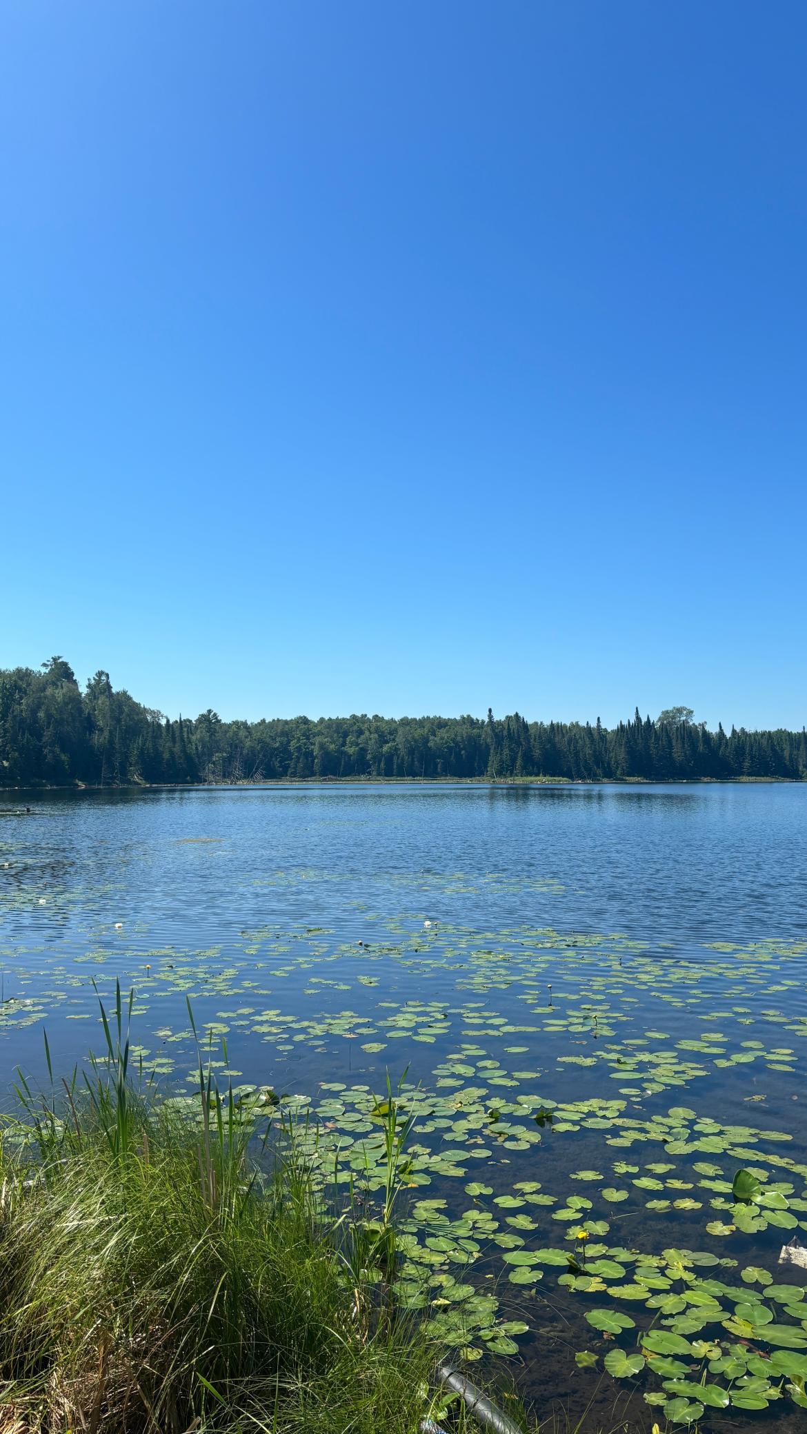5th image of 37363 Amen Lake Rd, Deer River, MN 56636 | MLS# 7100952
