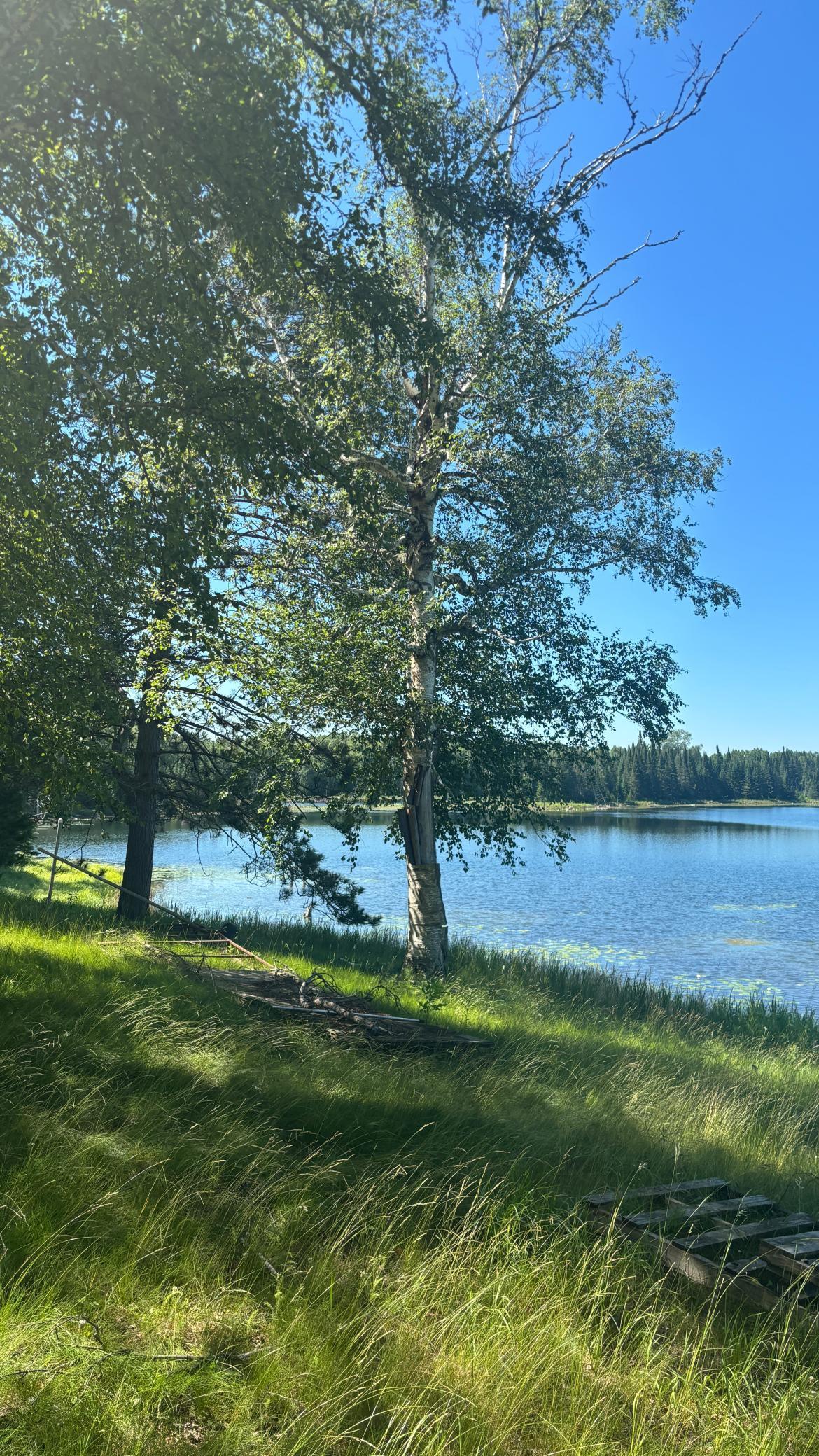 4th image of 37363 Amen Lake Rd, Deer River, MN 56636 | MLS# 7100952