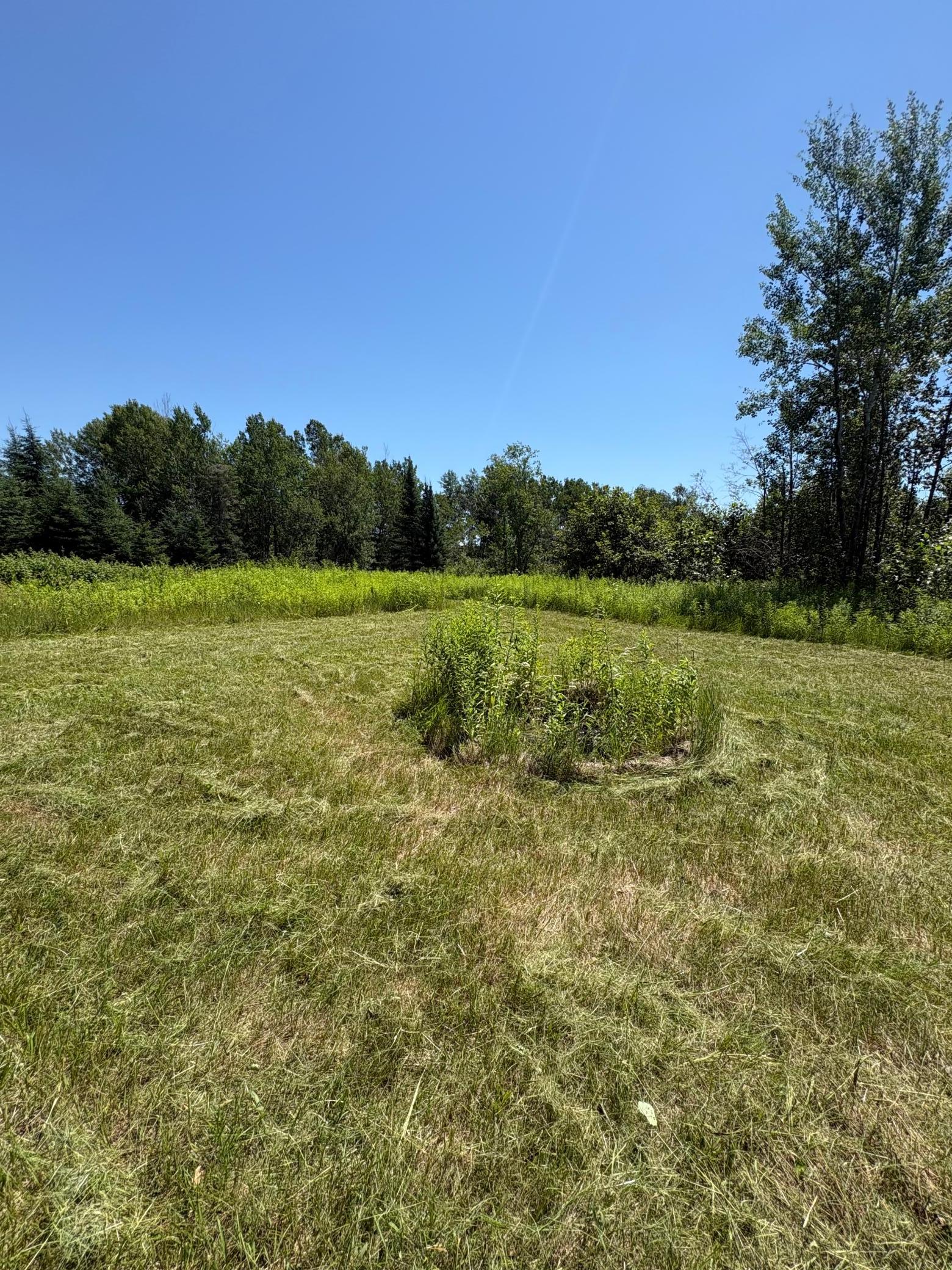 3rd image of 70453 Kingsdale Rd, Sandstone, MN 55072 | MLS# 7101149