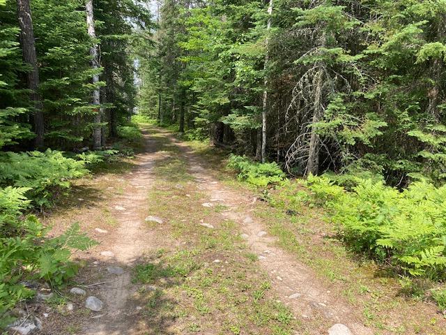 2nd image of 11919 Luna Lake Rd, Side Lake, MN 55781 | MLS# 7101434