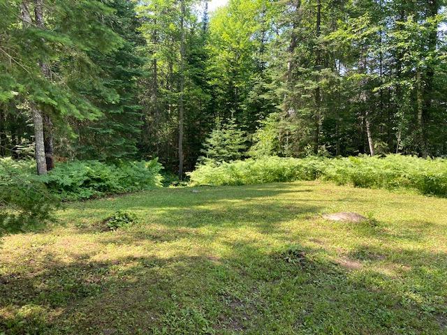 5th image of 11919 Luna Lake Rd, Side Lake, MN 55781 | MLS# 7101434