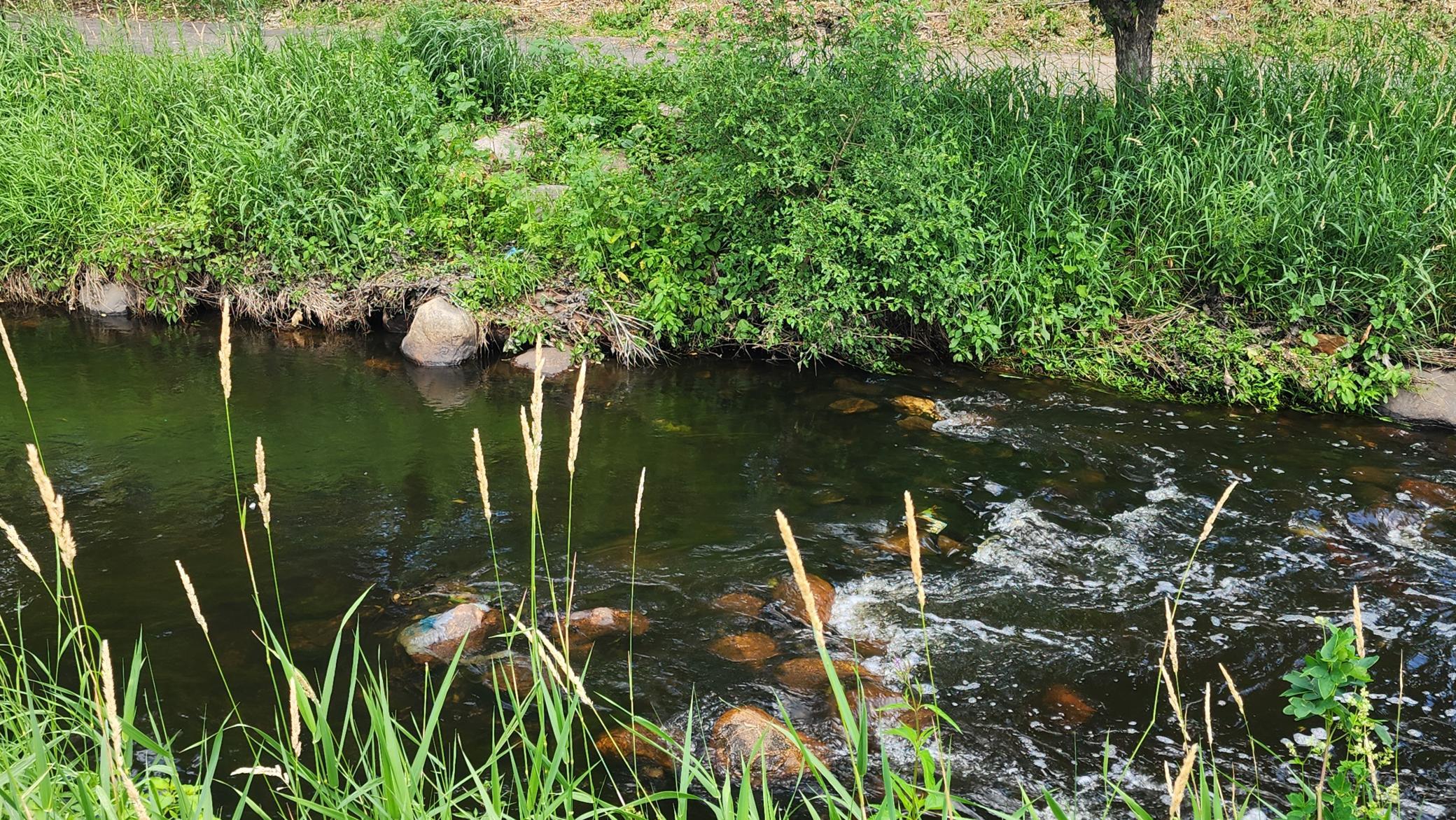 24th image of 7370 Unity Ln N, Brooklyn Park, MN 55443 | MLS# 7101884
