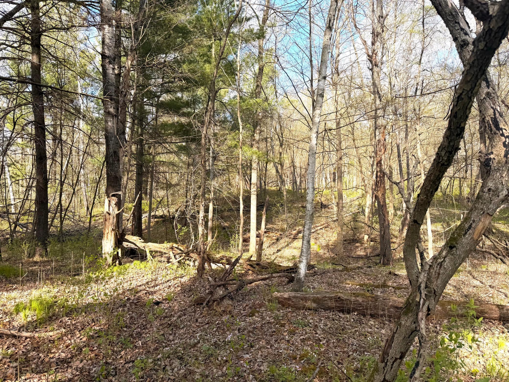 13th image of Tbd County Line Ave, Clear Lake, WI 54005 | MLS# 7102026