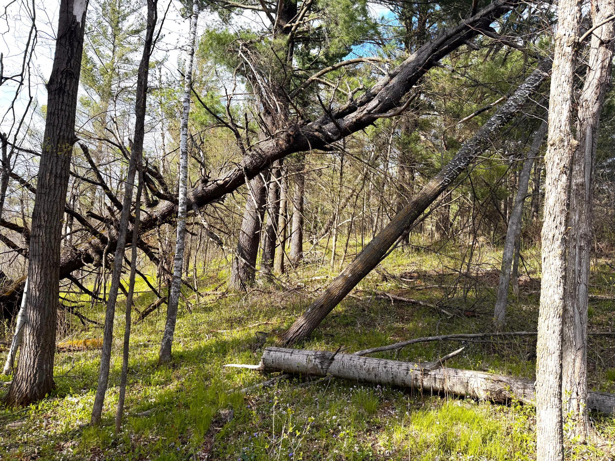 2nd image of Tbd County Line Ave, Clear Lake, WI 54005 | MLS# 7102026