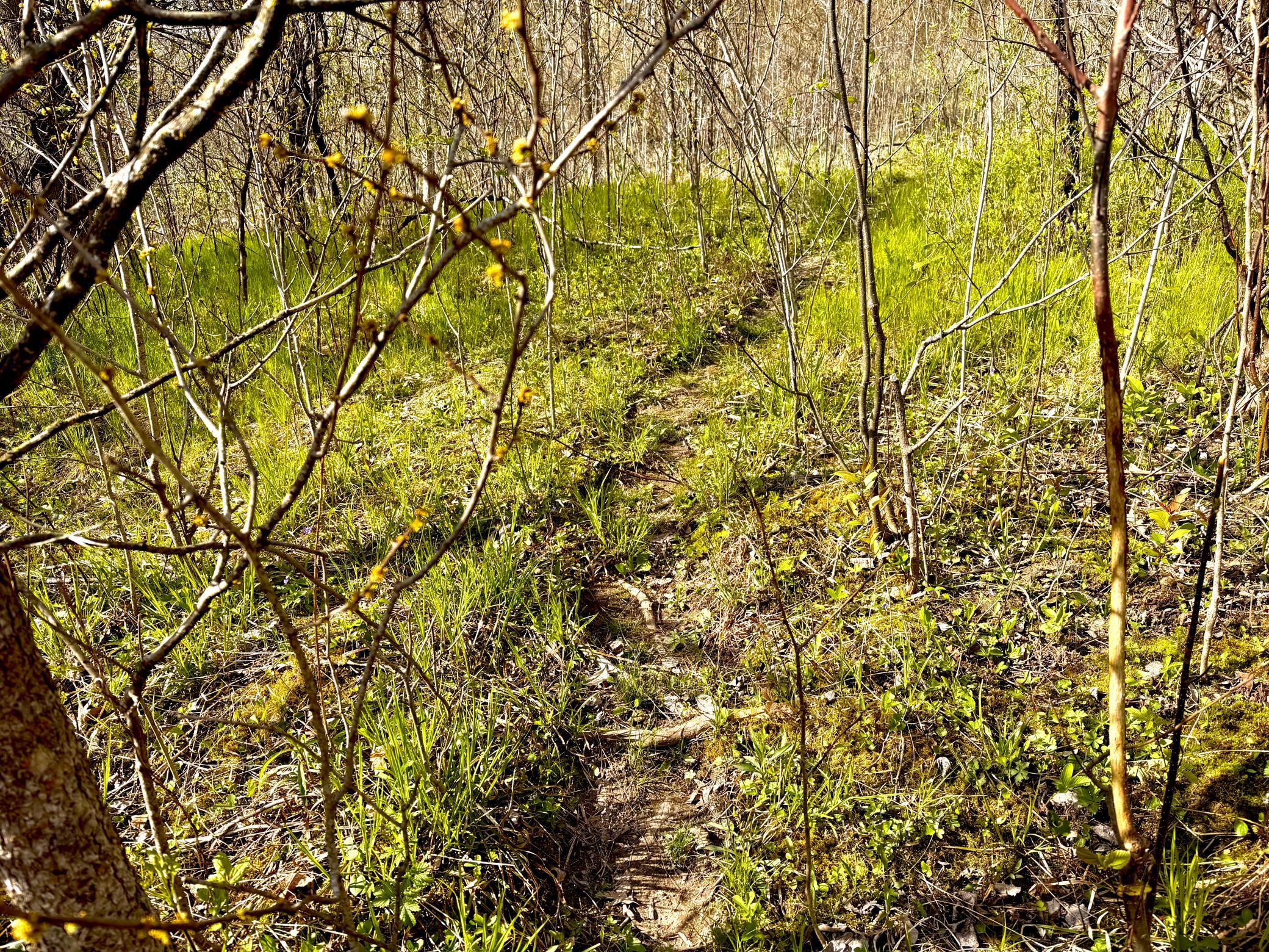 3rd image of Tbd County Line Ave, Clear Lake, WI 54005 | MLS# 7102026