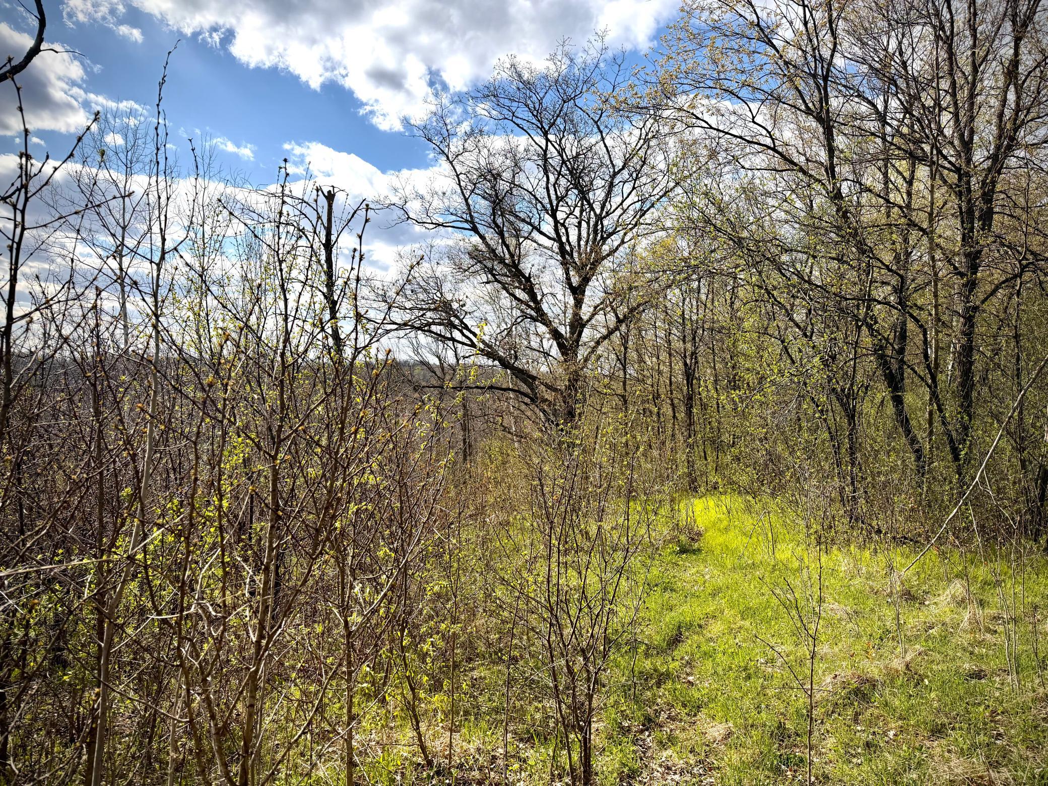 1st image of Tbd County Line Ave, Clear Lake, WI 54005 | MLS# 7102026