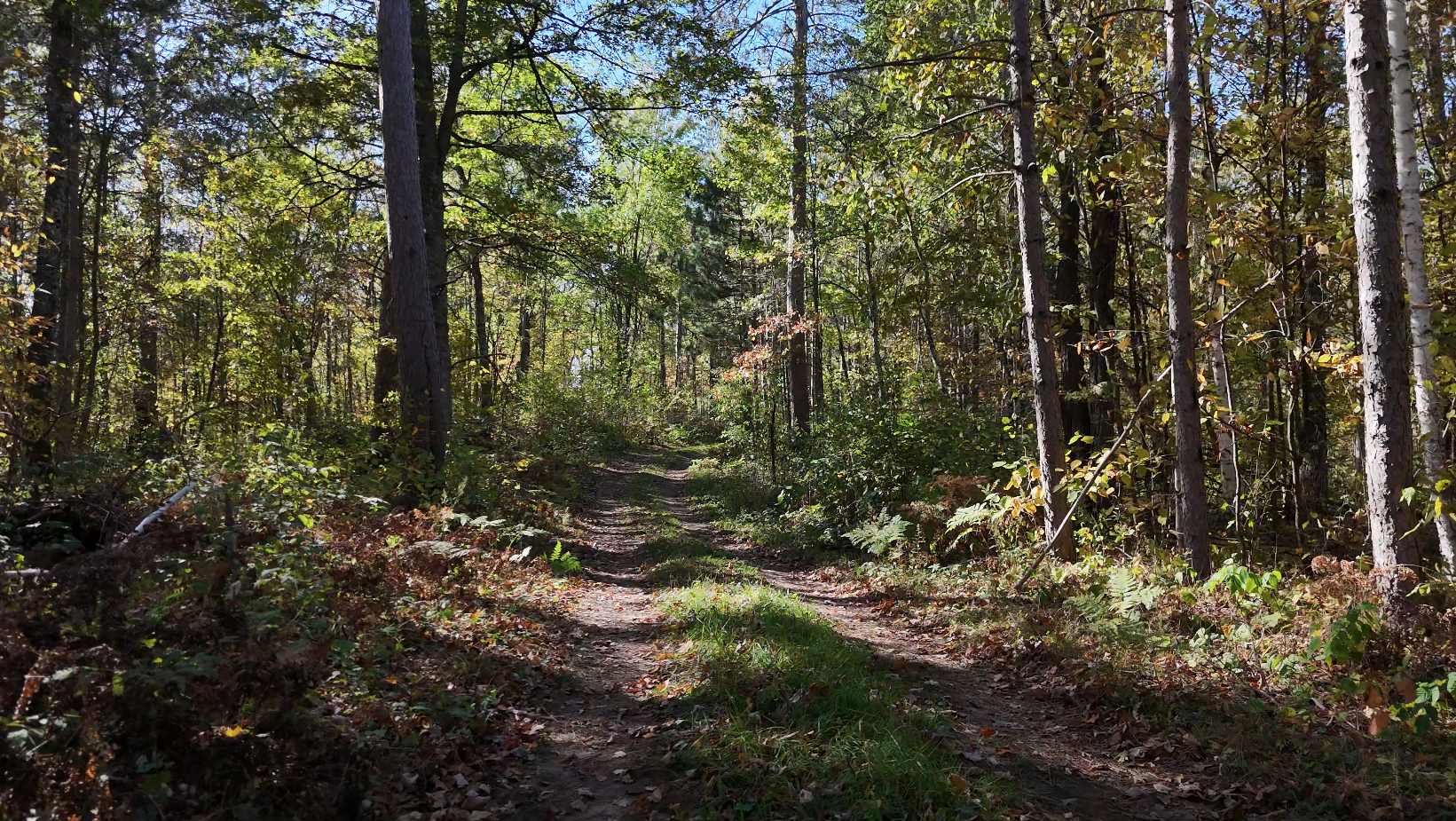 3rd image of Tbd Aa Mann Road, Spooner, WI 54801 | MLS# 7102444