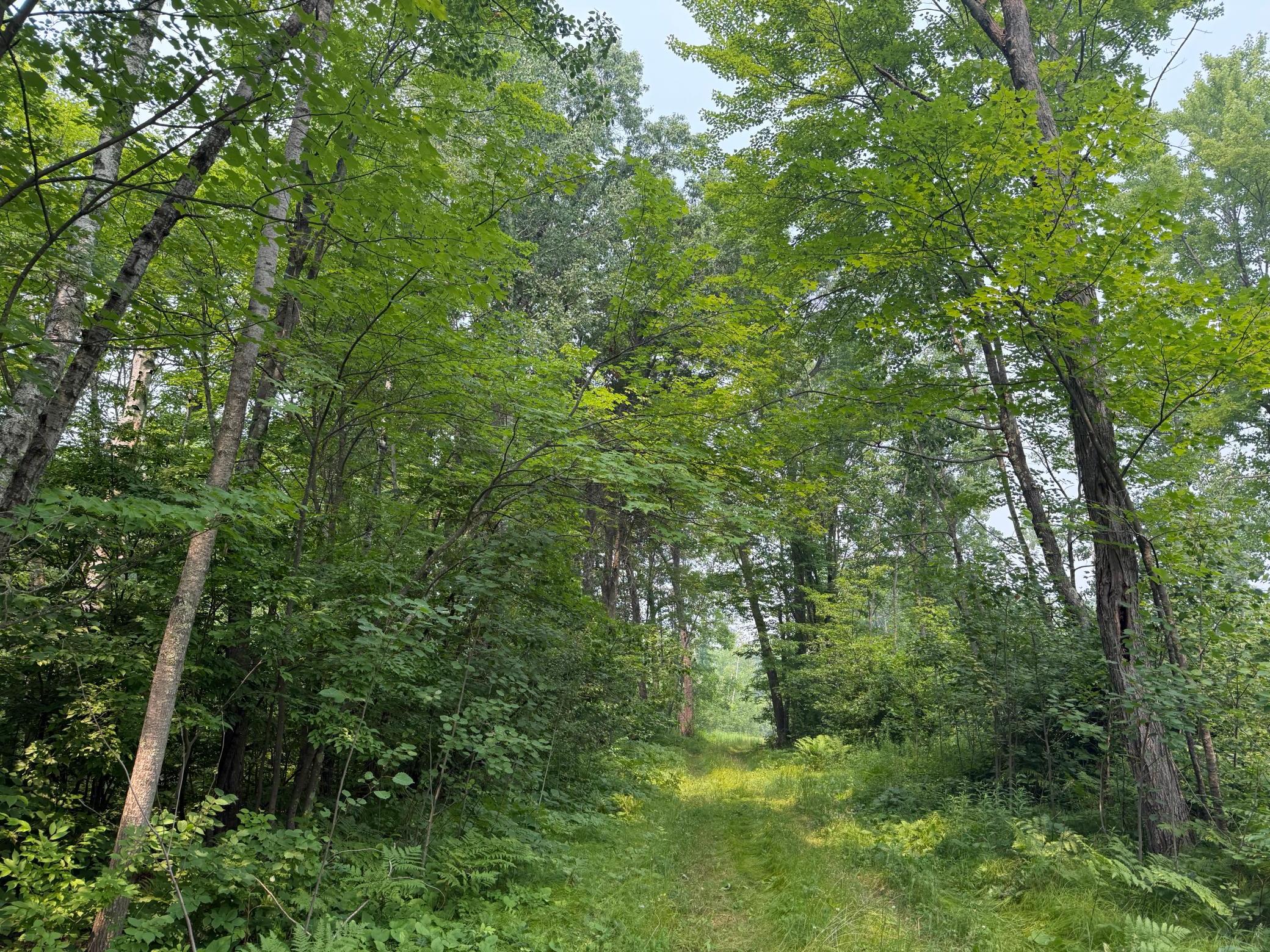 5th image of Tbd Aa Mann Road, Spooner, WI 54801 | MLS# 7102444