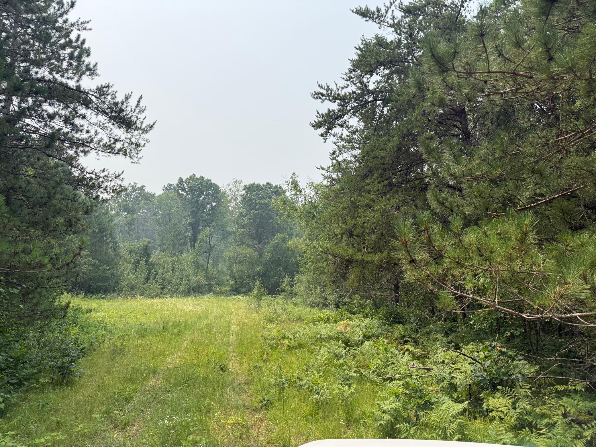 5th image of Tbd Bb Mann Road, Spooner, WI 54801 | MLS# 7102488