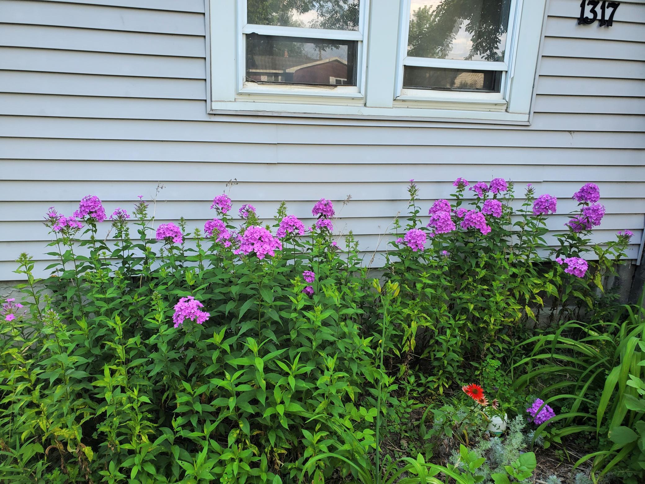 3rd image of 1317 America Ave Nw, Bemidji, MN 56601 | MLS# 7102983