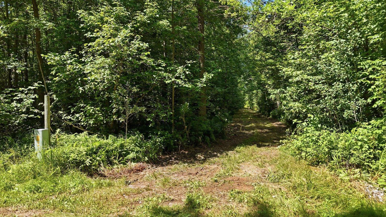 13th image of Tbd Guile Lake Road, Cohasset, MN 55721 | MLS# 7103294