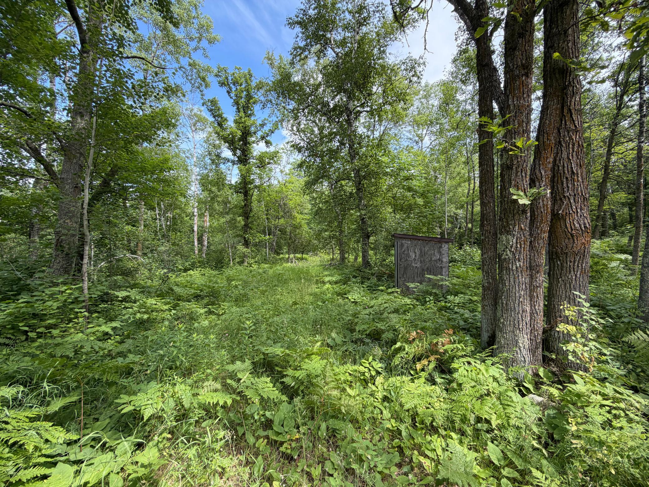 1st image of Tbd County 95, Laporte, MN 56461 | MLS# 7104268