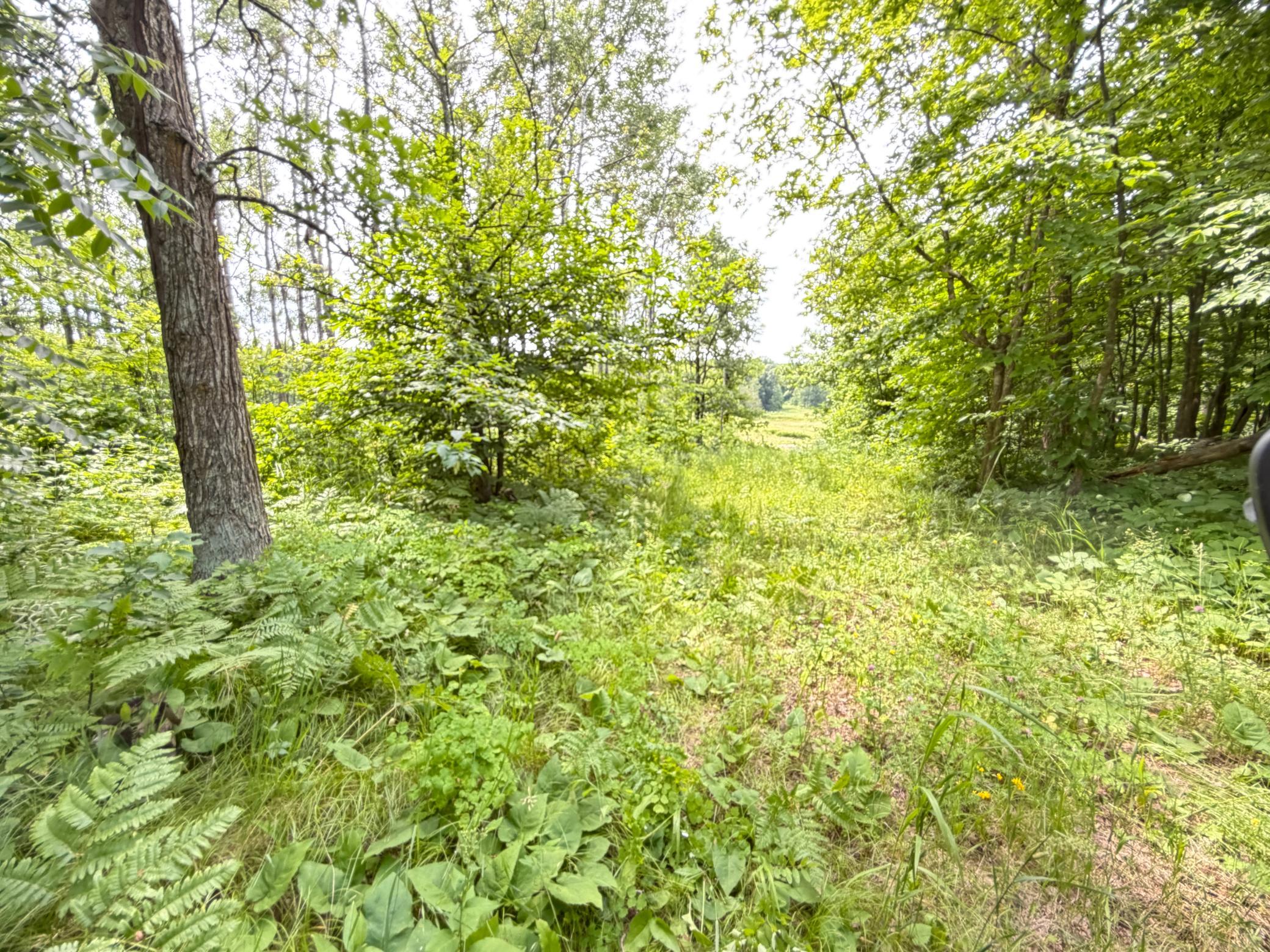3rd image of Tbd County 95, Laporte, MN 56461 | MLS# 7104268