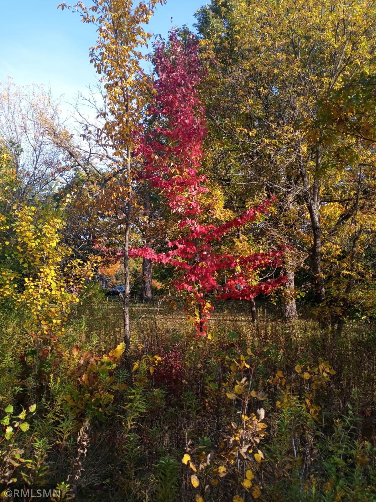 19th image of 17xx Airwaves Rd Ne, Pine City, MN 55063 | MLS# 7104877