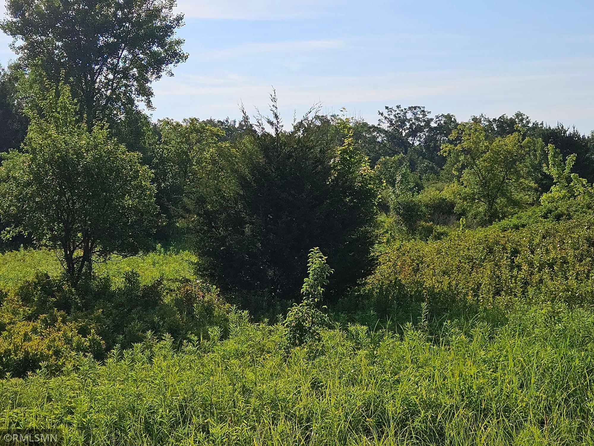 5th image of 17Xx Airwaves Rd Ne, Pine City, MN 55063 | MLS# 7104877