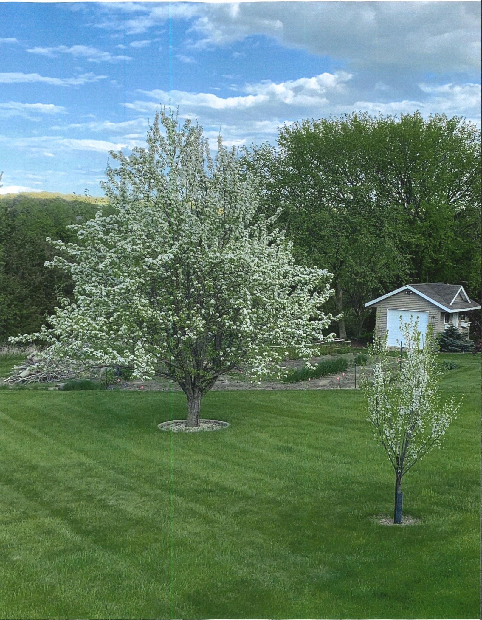 44th image of W12120 742nd Ave, River Falls, WI 54022 | MLS# 7105175