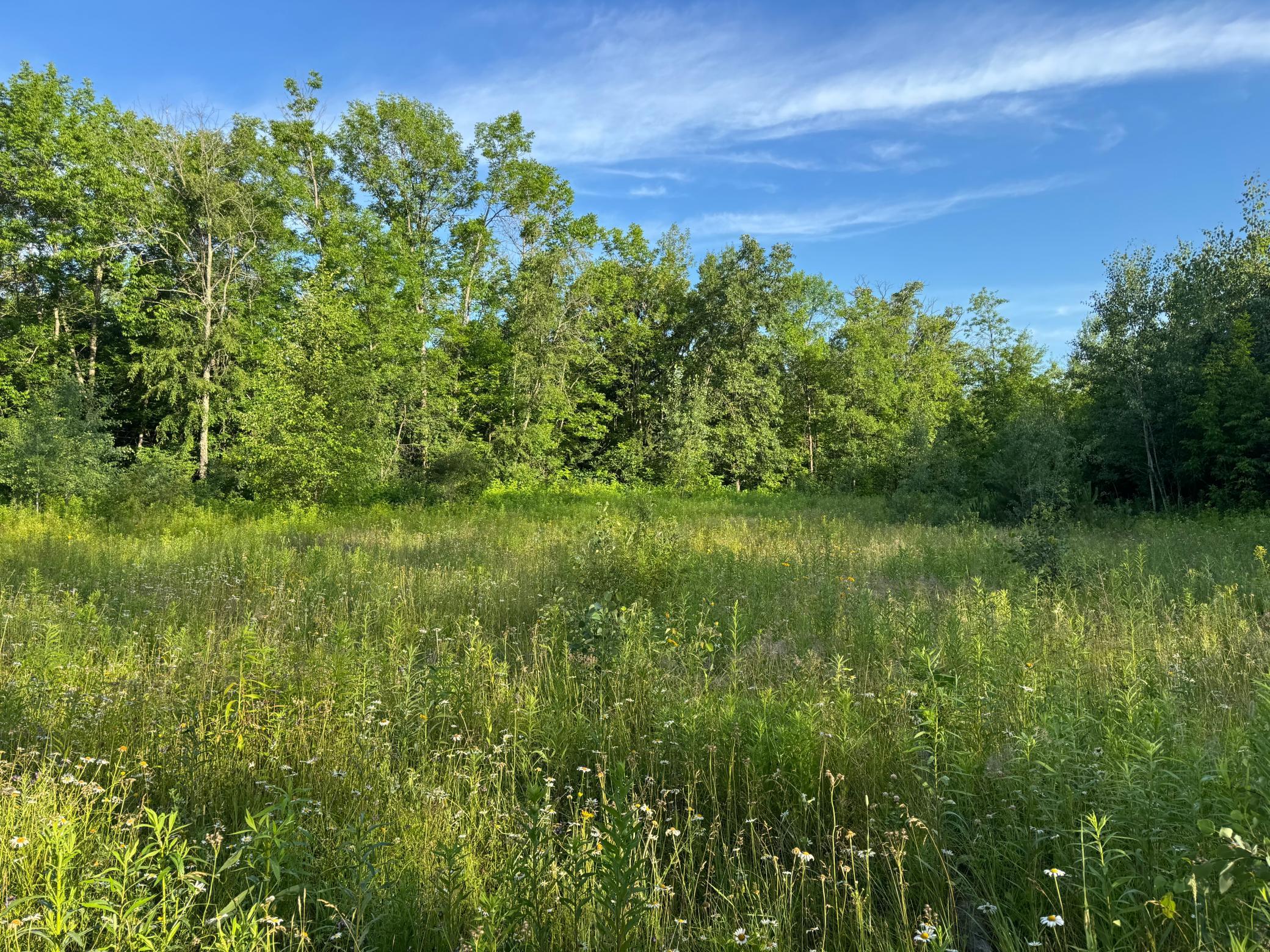 Homes for sale in Moose Lake, MN | Tbd-1 N Riverside Rd, Moose Lake, MN 55767 | MLS# 7105405