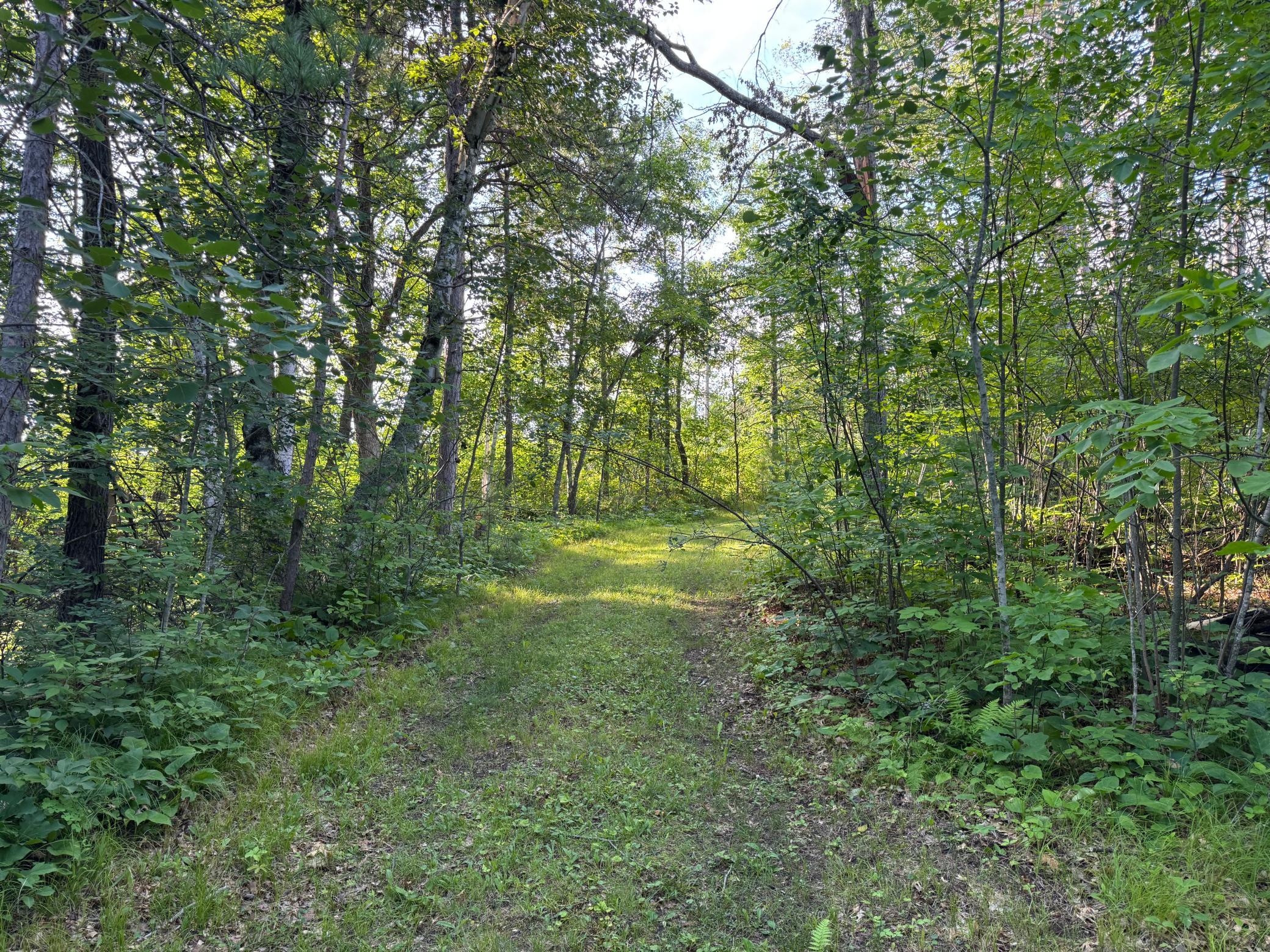 Homes for sale in Moose Lake, MN | Tbd 1 N Riverside Rd, Moose Lake, MN 55767 | MLS# 7105405