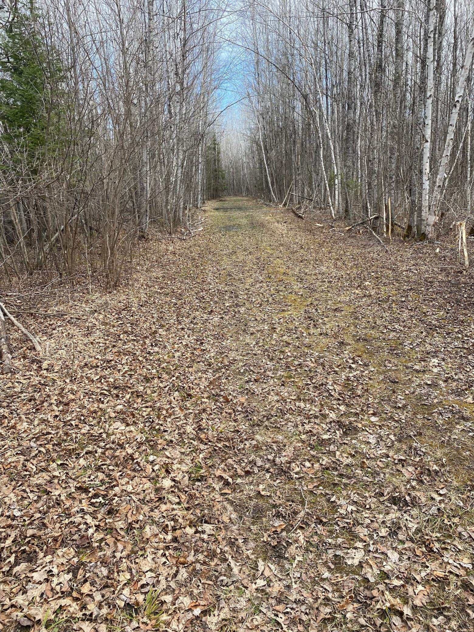 Homes for sale in Littlefork, MN | Tbd County Road 79, Littlefork, MN 56649 | MLS# 7106234