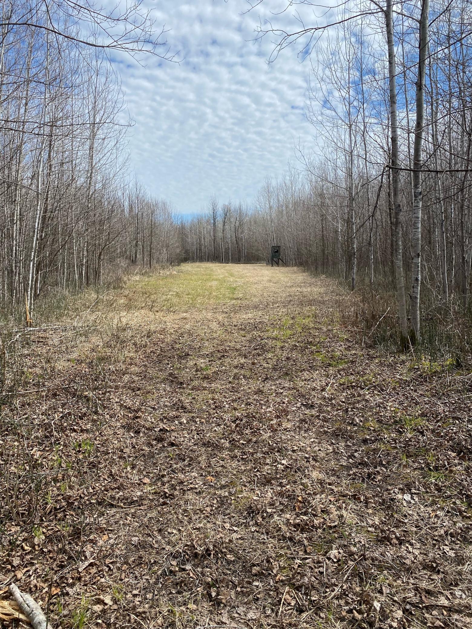 Homes for sale in Littlefork, MN | Tbd County Road 79, Littlefork, MN 56649 | MLS# 7106234