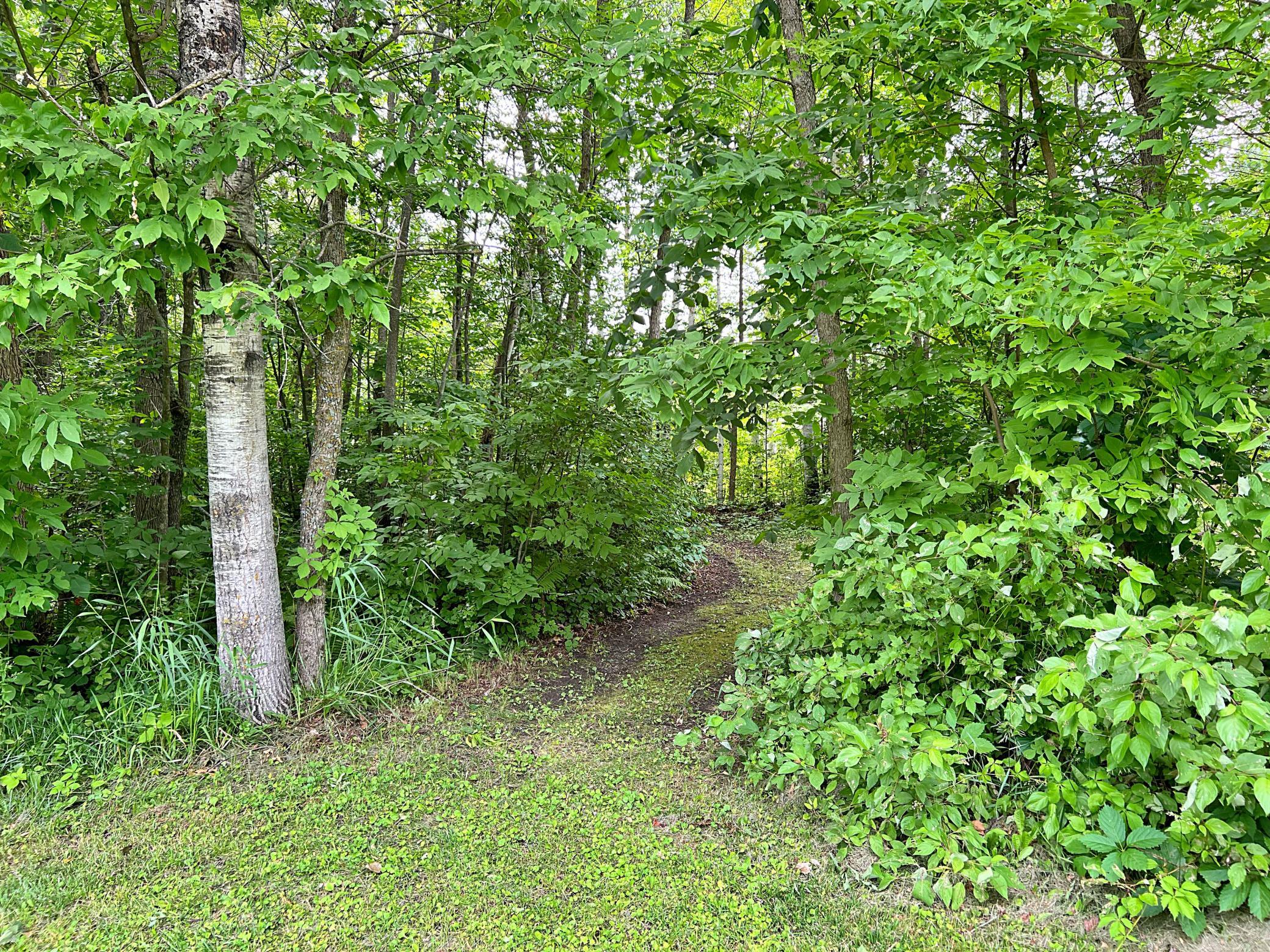 3rd image of 20433 640Th Ln, Jacobson, MN 55752 | MLS# 7106715