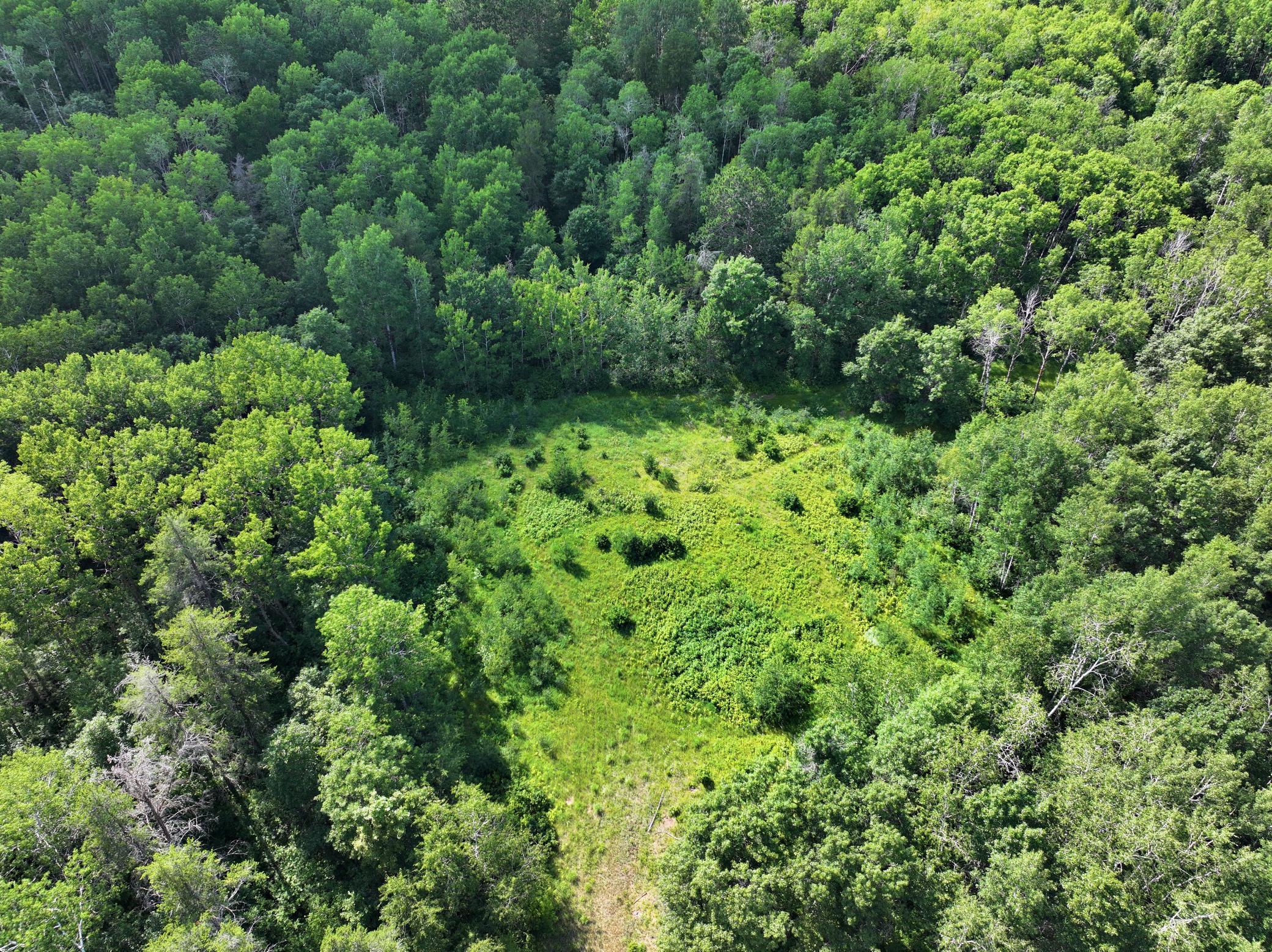 3rd image of Tbd Us 71 - 167 Ac, Park Rapids, MN 56470 | MLS# 7107685