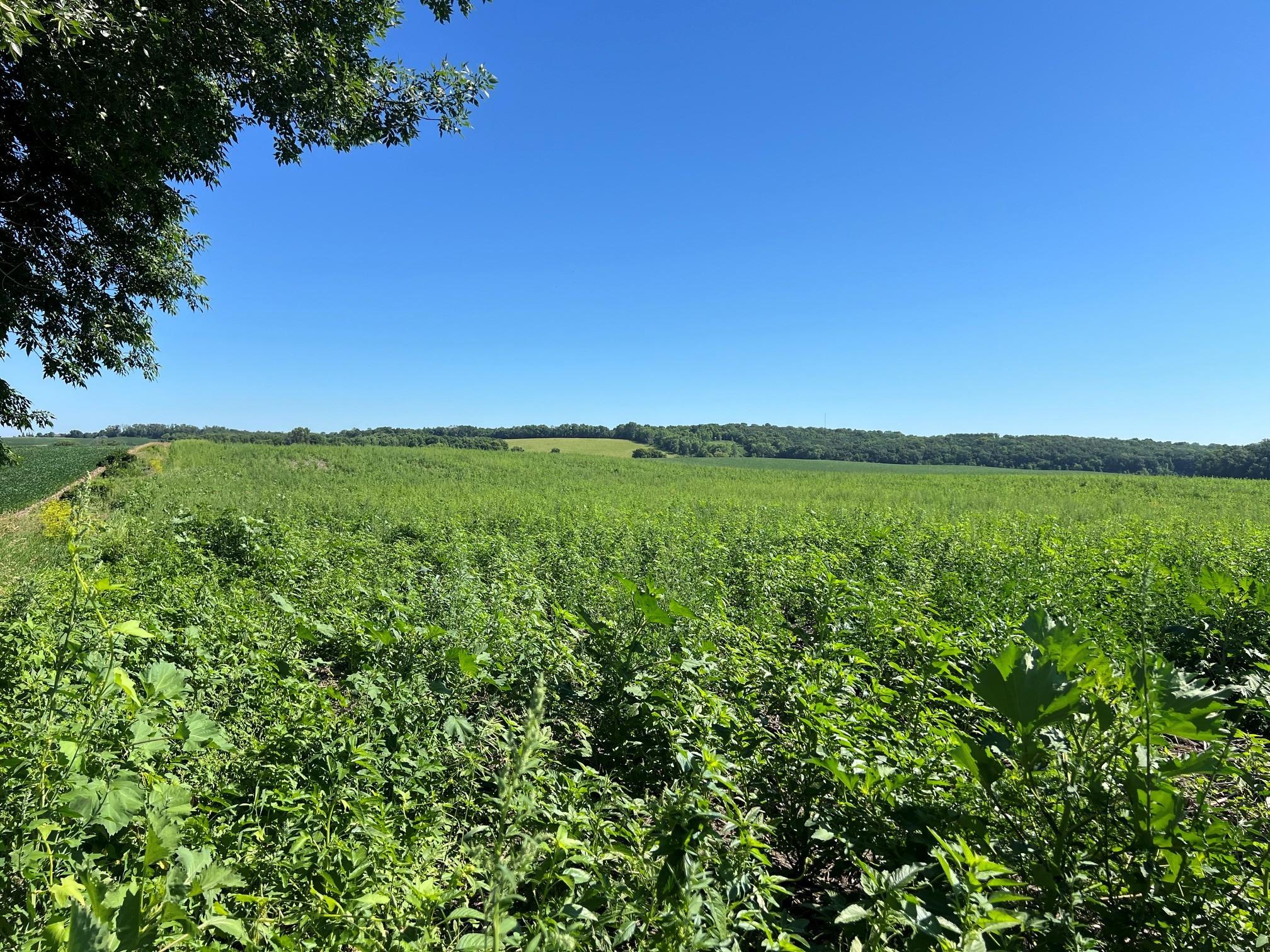 5th image of 000 330Th, Ashby, MN 56309 | MLS# 7107701