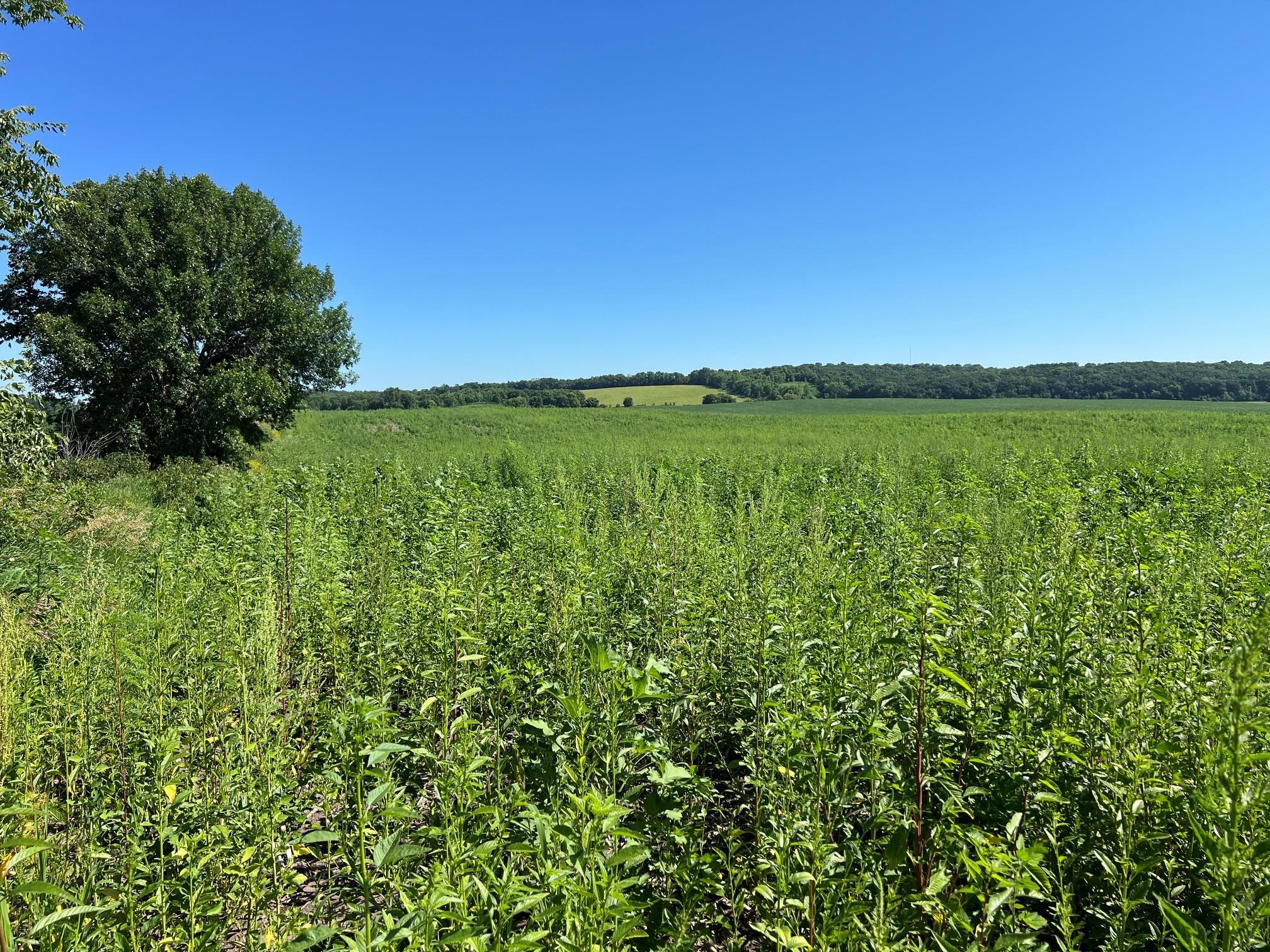 3rd image of 000 330Th, Ashby, MN 56309 | MLS# 7107701