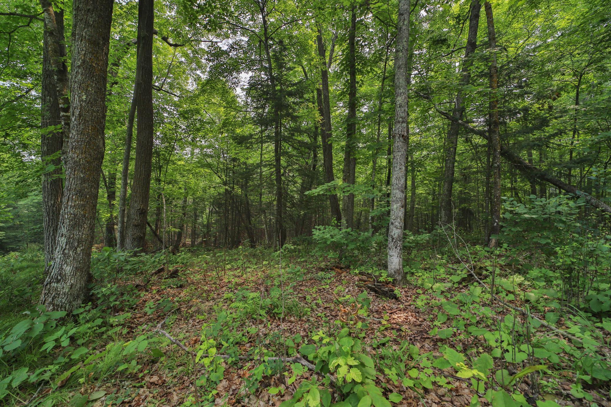 1st image of Tbd 178th Ln/garden Ln, Mc Gregor, MN 55760 | MLS# 7107815