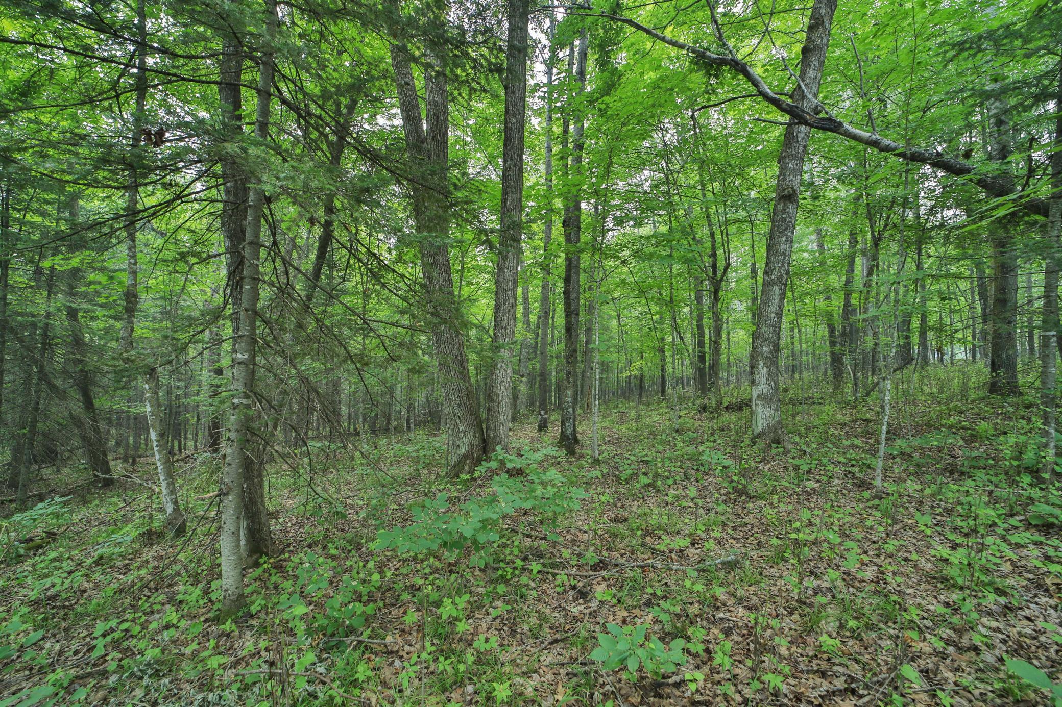 2nd image of Tbd 178th Ln/garden Ln, Mc Gregor, MN 55760 | MLS# 7107815