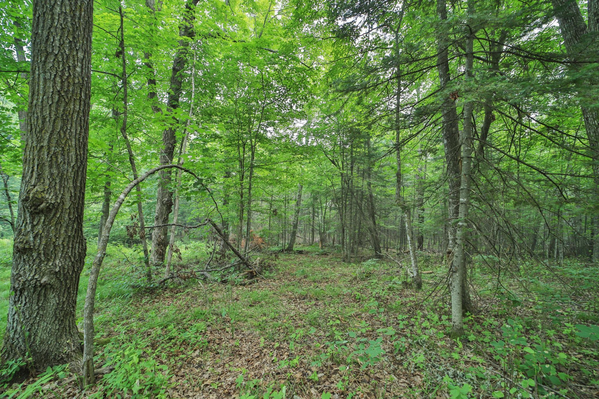 3rd image of Tbd 178Th Ln/Garden Ln, Mc Gregor, MN 55760 | MLS# 7107815