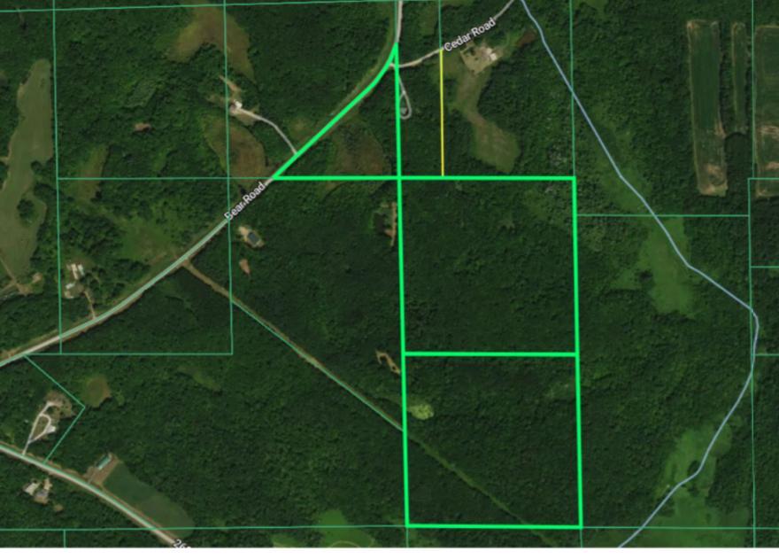 Homes for sale in Cushing, MN | Tbd Cedar Rd, Cushing, MN 56443 | MLS# 7107838