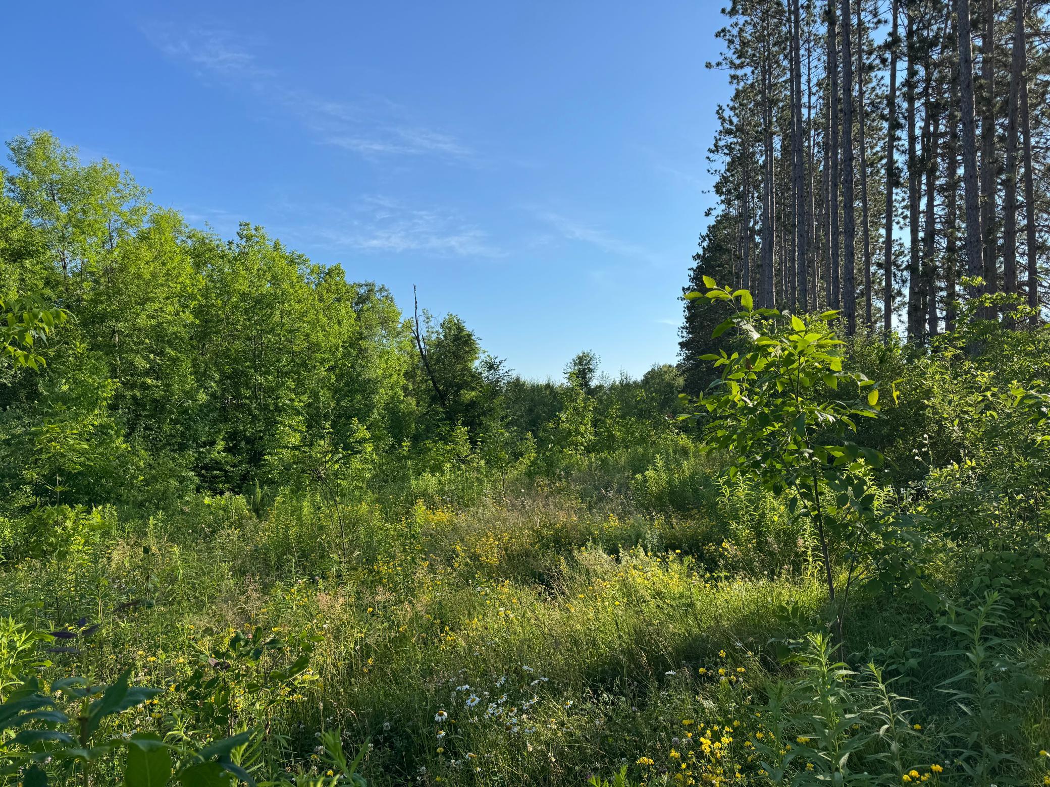 Homes for sale in Moose Lake, MN | Tbd 2 N Riverside Rd, Moose Lake, MN 55767 | MLS# 7108144