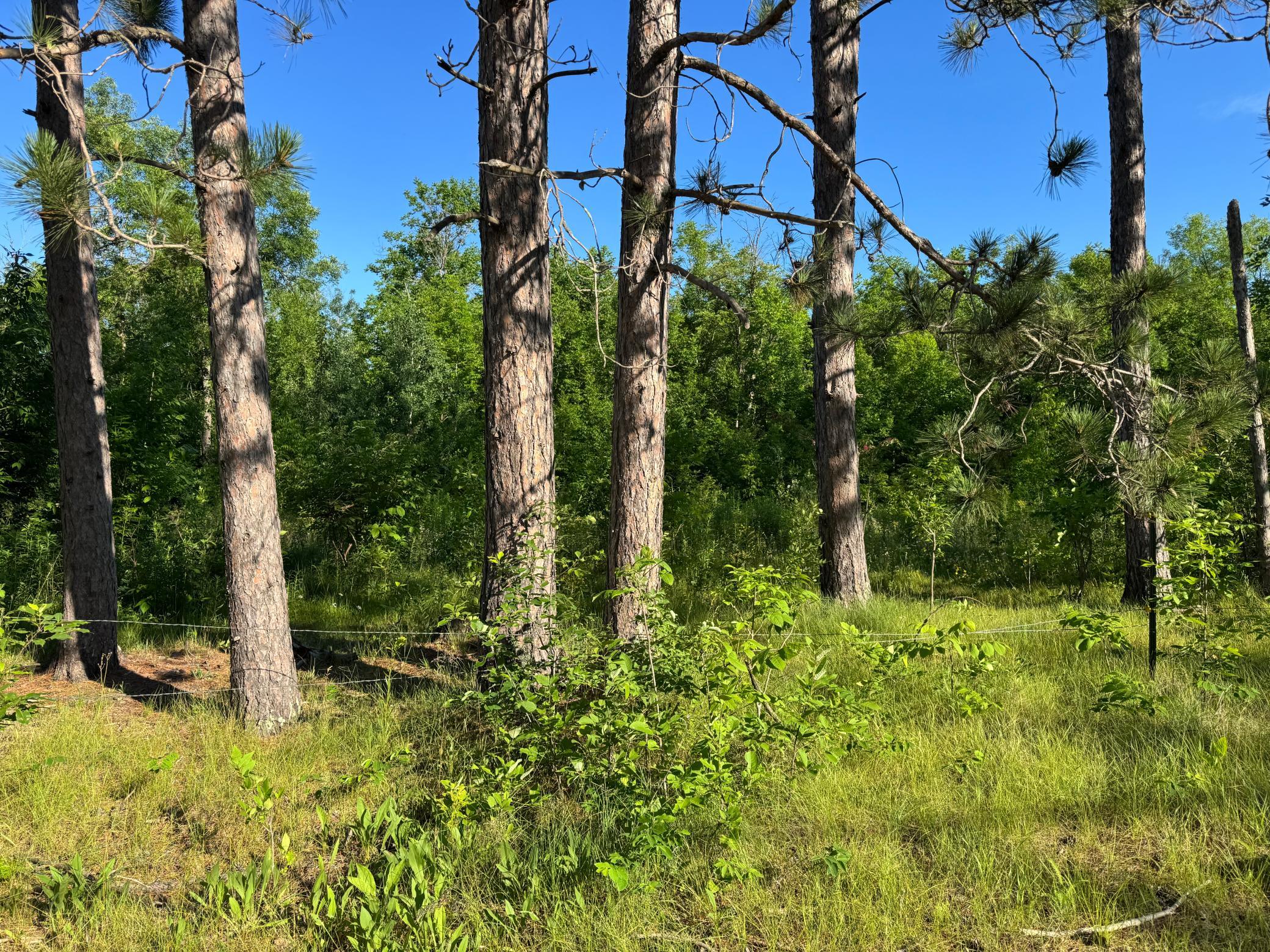 Homes for sale in Moose Lake, MN | Tbd-2 N Riverside Rd, Moose Lake, MN 55767 | MLS# 7108144