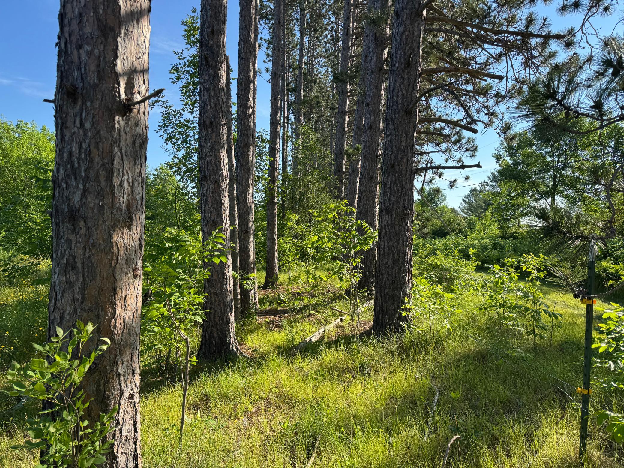 Homes for sale in Moose Lake, MN | Tbd-2 N Riverside Rd, Moose Lake, MN 55767 | MLS# 7108144