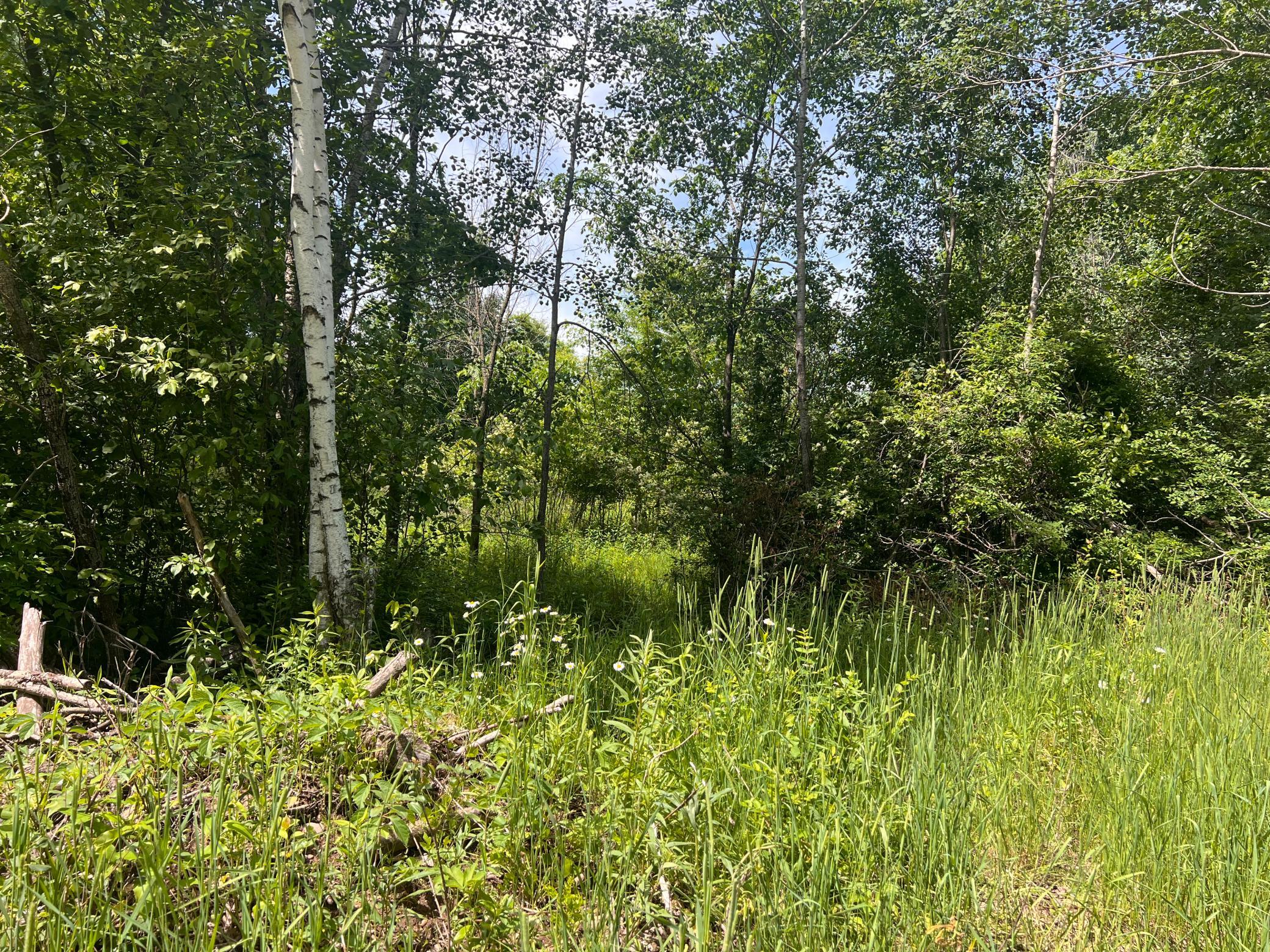 4th image of 132 90Th Ave, Clayton, WI 54004 | MLS# 7108856