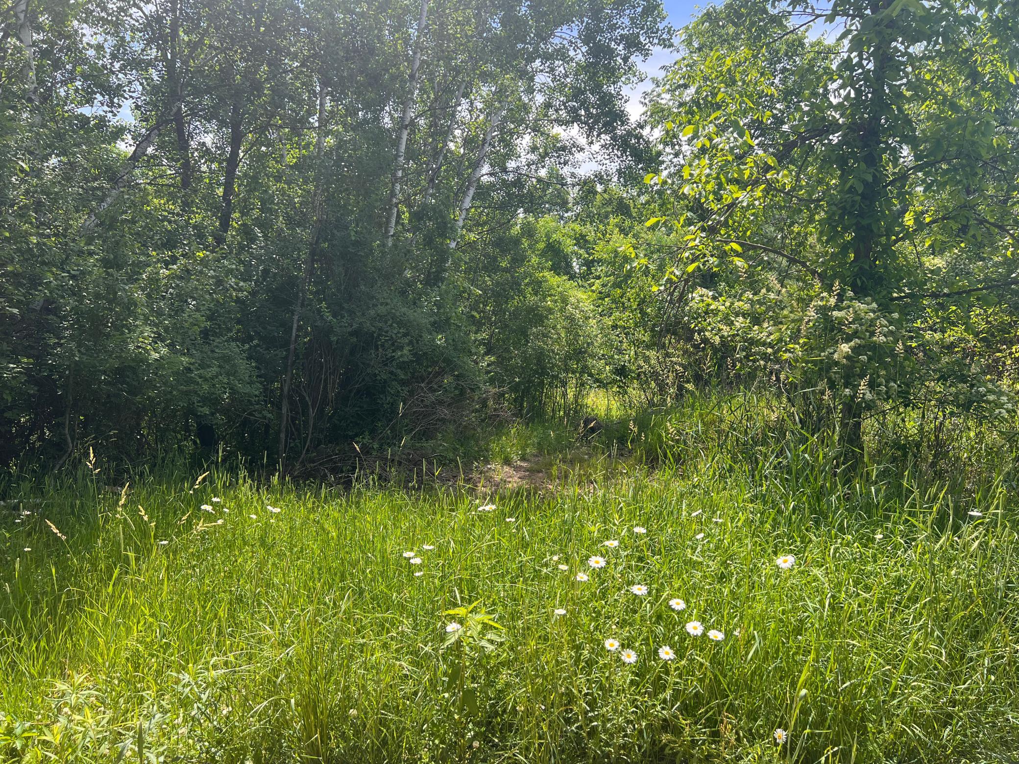 5th image of 132 90Th Ave, Clayton, WI 54004 | MLS# 7108856